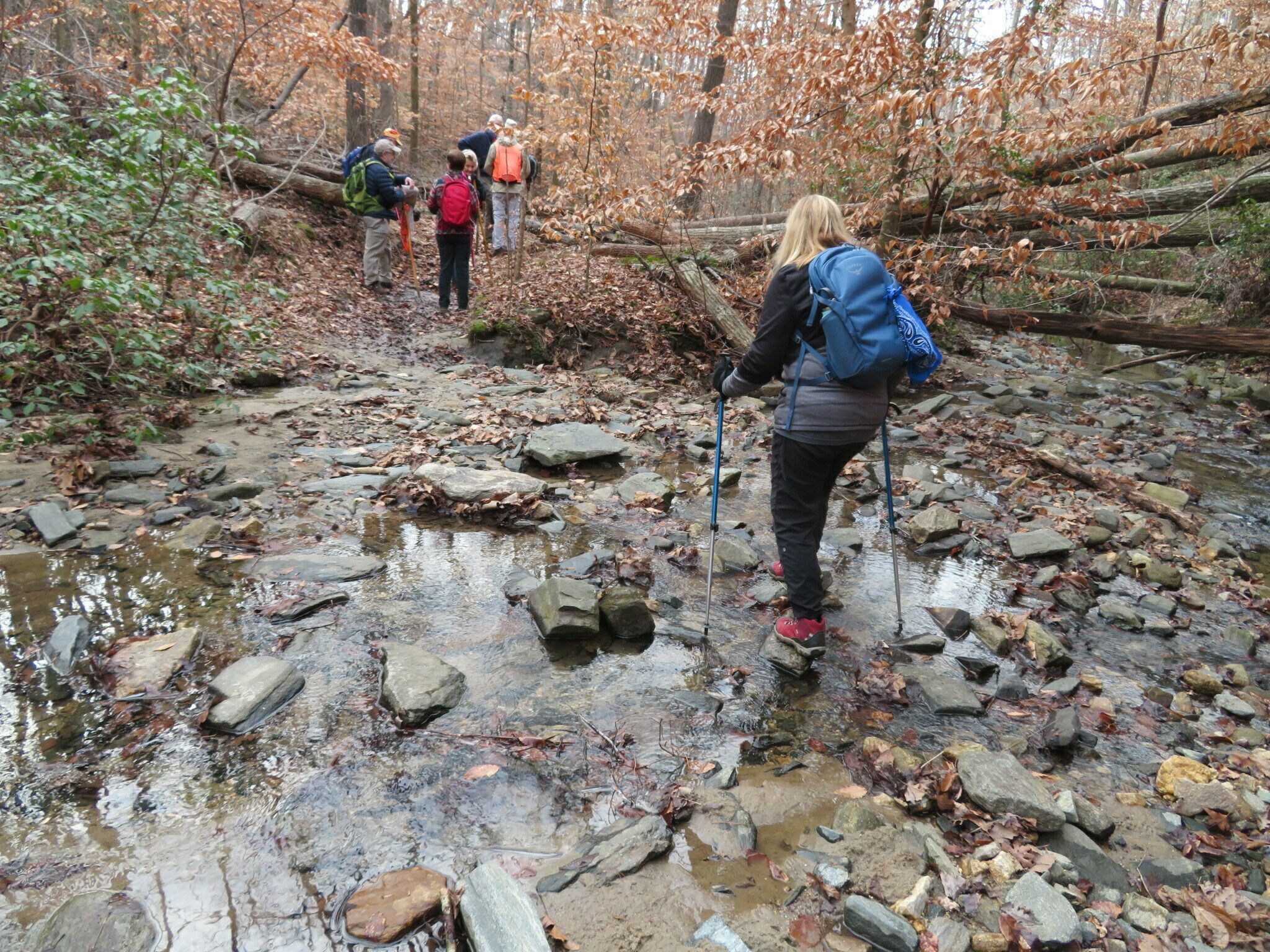 Lynn making one of several shallow crossings across Frady Branch.