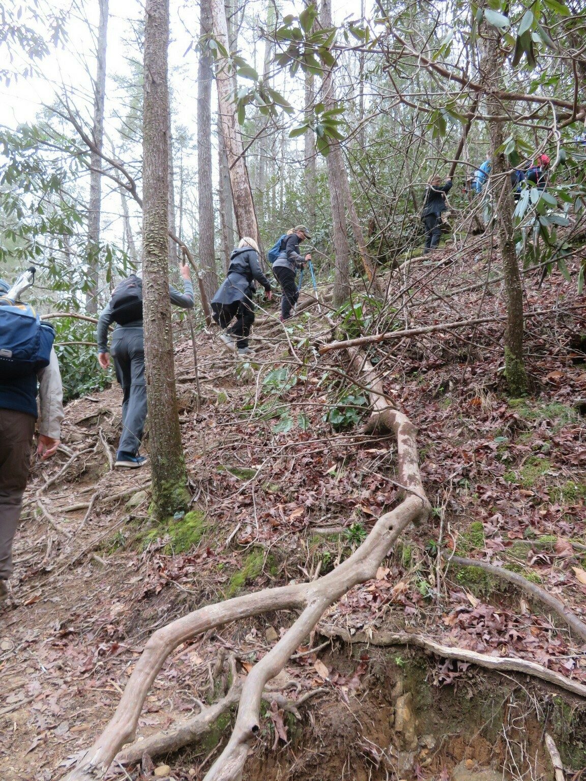 Climbing out of the access to Long Creek Falls.