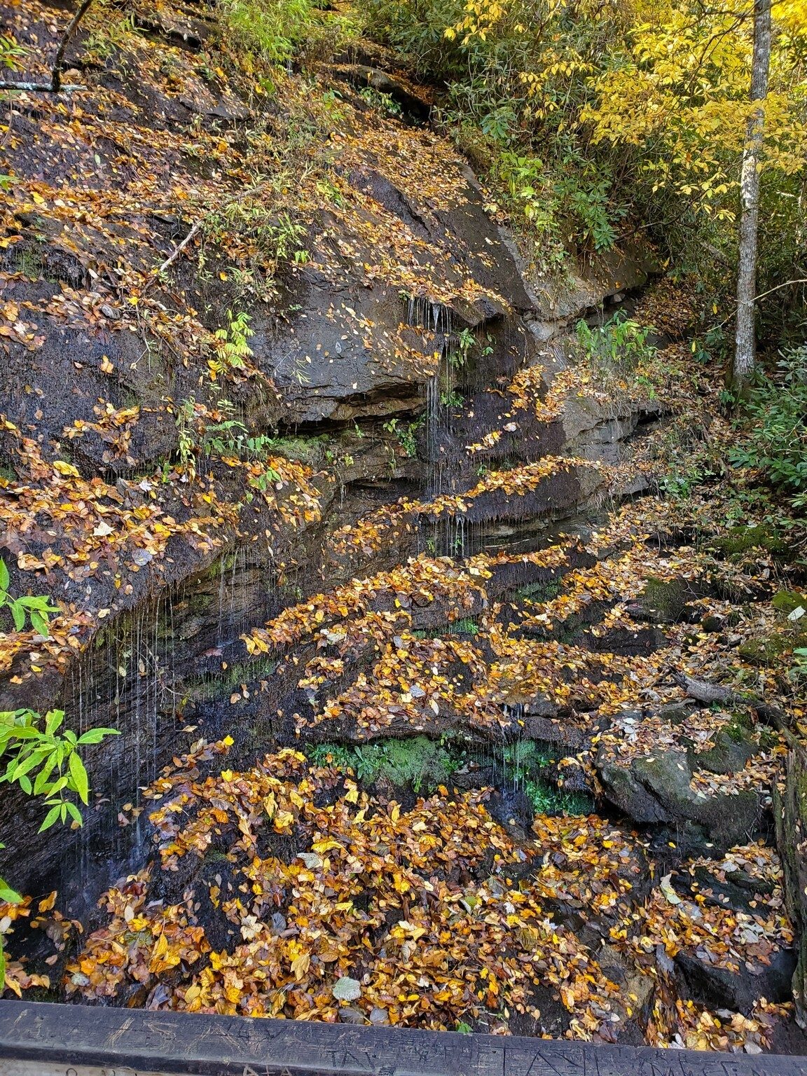 Not having seen it before, I took a chance to hike down to Ada-Hi Falls. Just a trickle with the lack of rain!