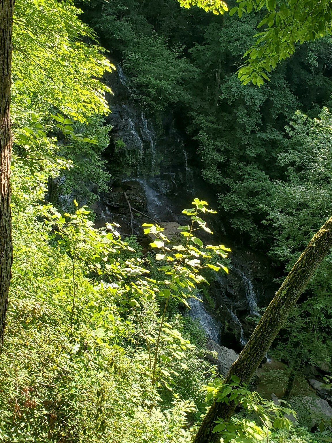 In the summer, it's tough to get a really good view of the Issaqueena Falls from the overlook platform.