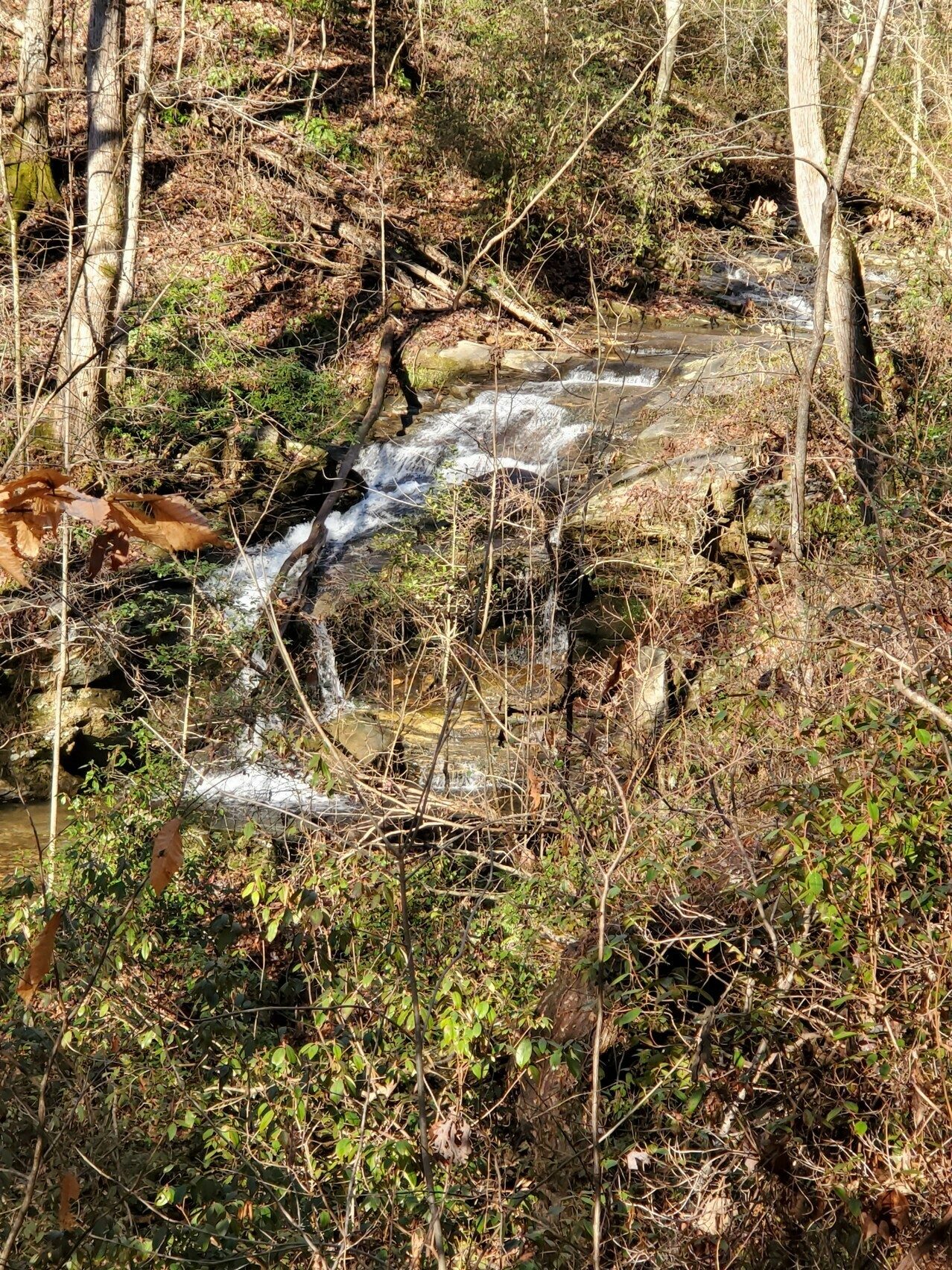 One of the more notable cascades viewed from the trail.