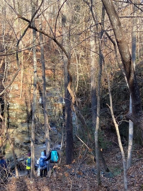 The walk down to Rock Quarry Falls