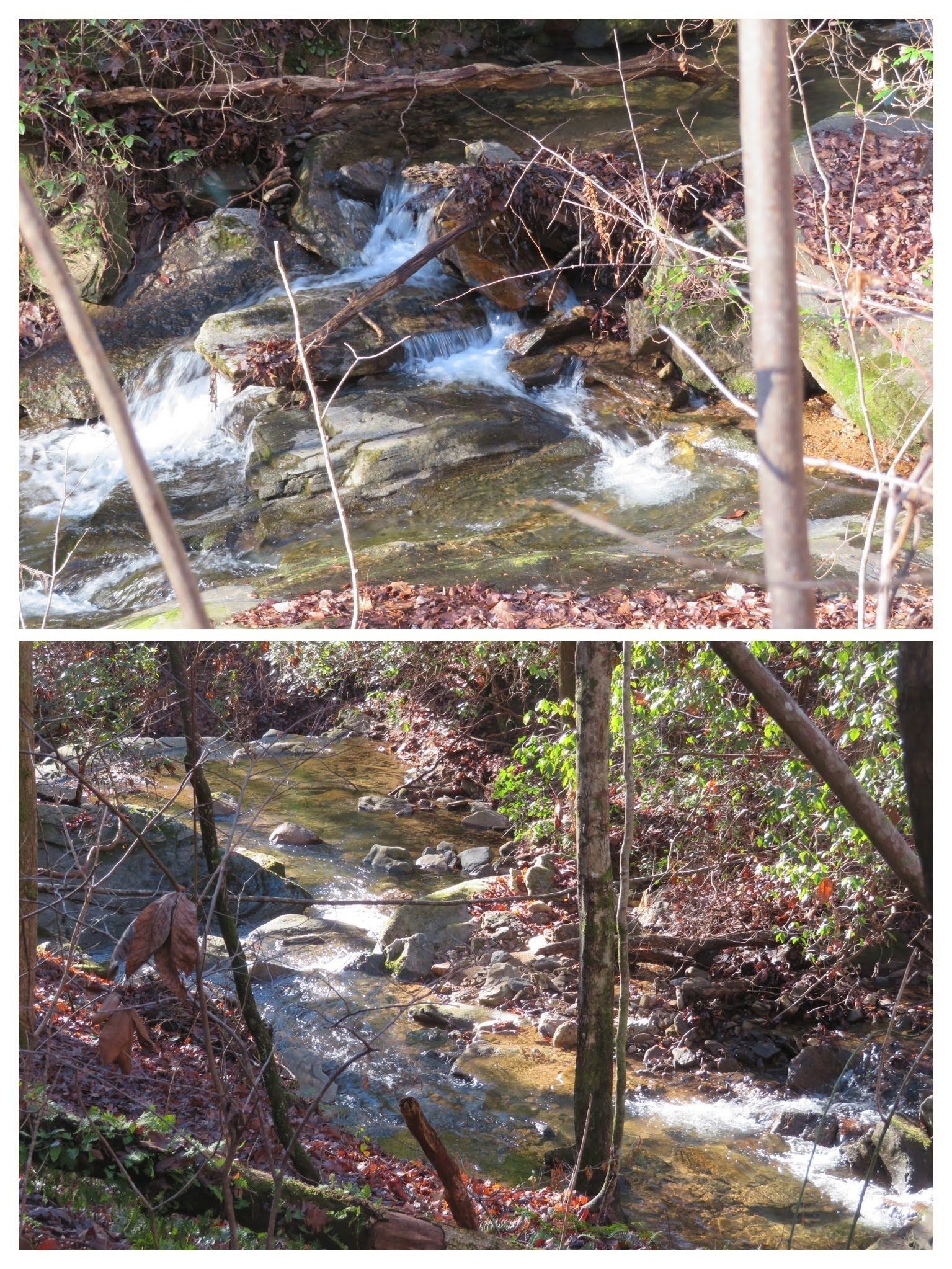 Lots of water sounds from the creek that parallels the trail.