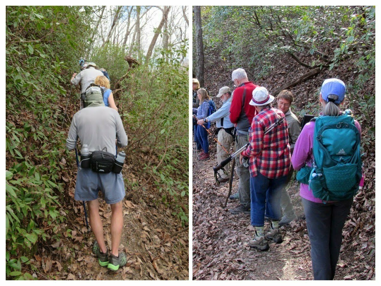 It got a bit more challenging on the second half of the hike with some narrow ledges and short inclines.