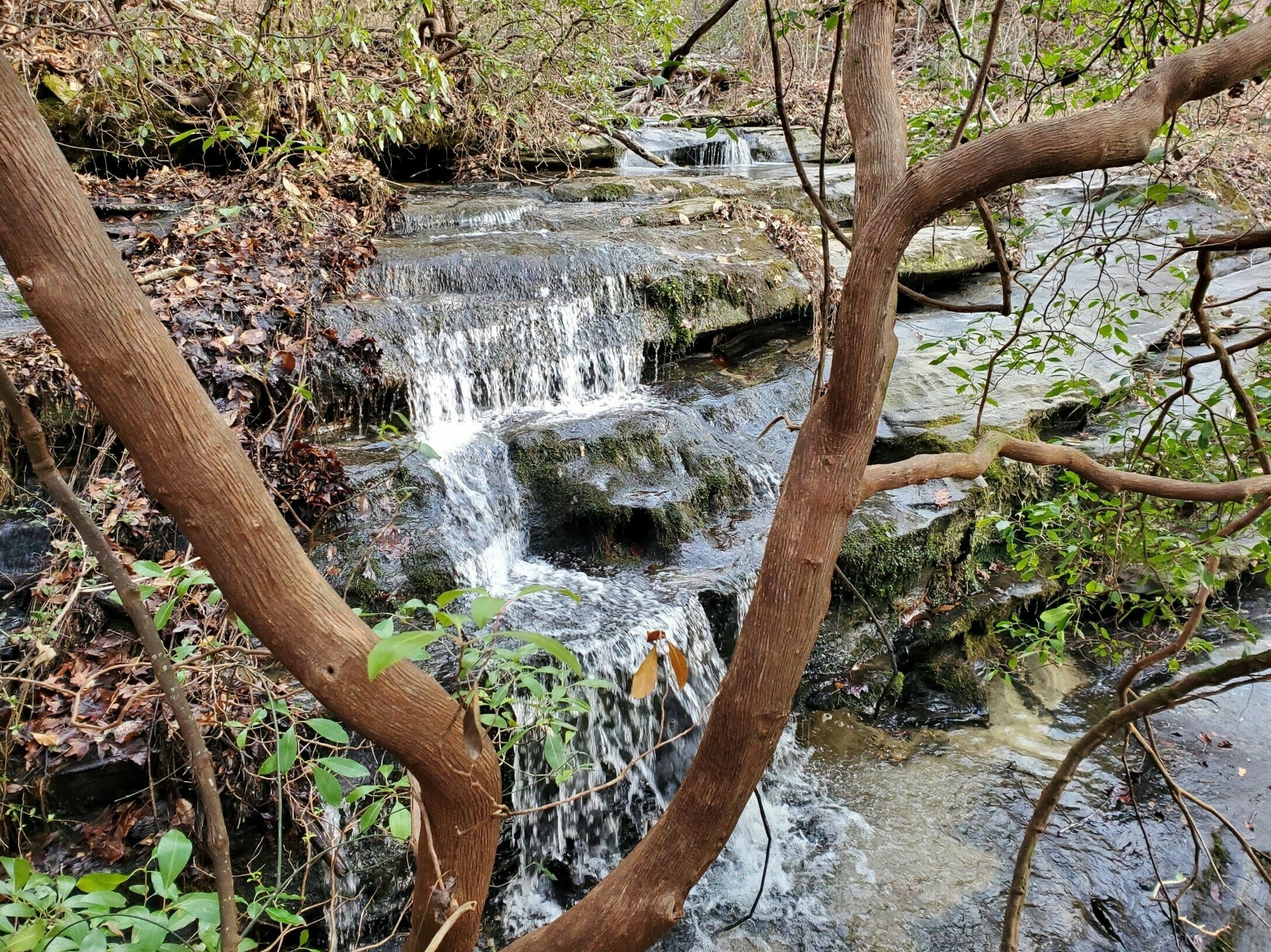 Frady Branch did reward us several nice small cascades, especially this one!