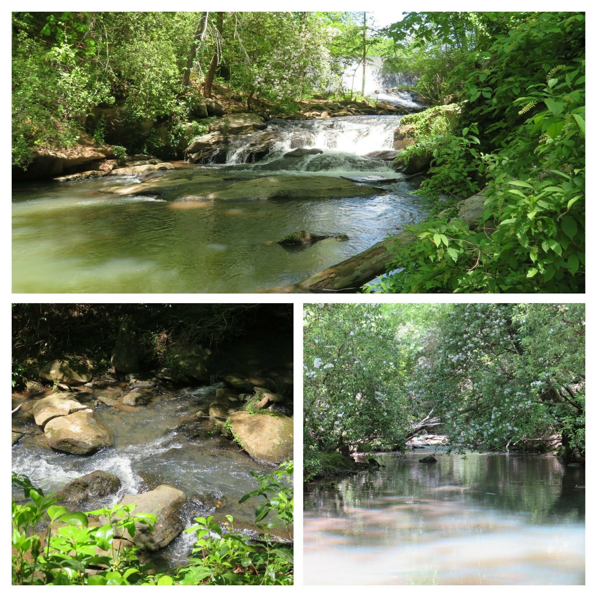 Pictures of Nancy Town Creek below the dam toward the end of our hike.