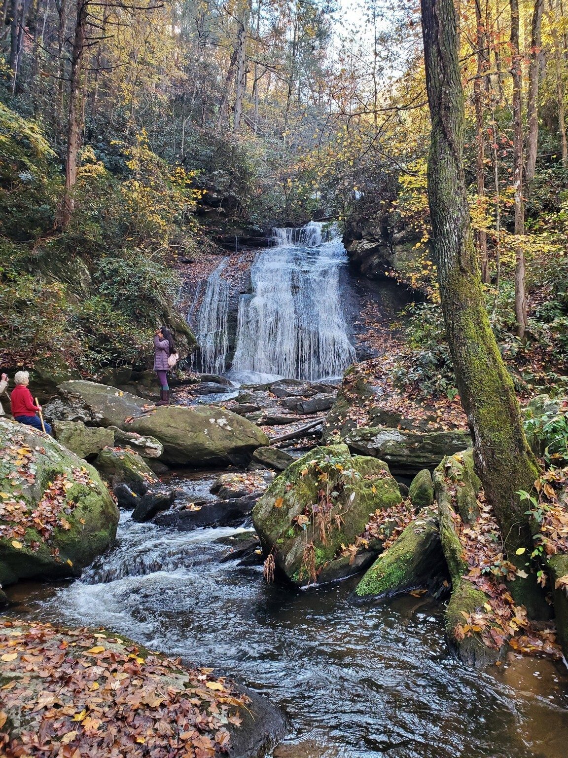 Another picture of Opossum Creek Falls from further down the creek.