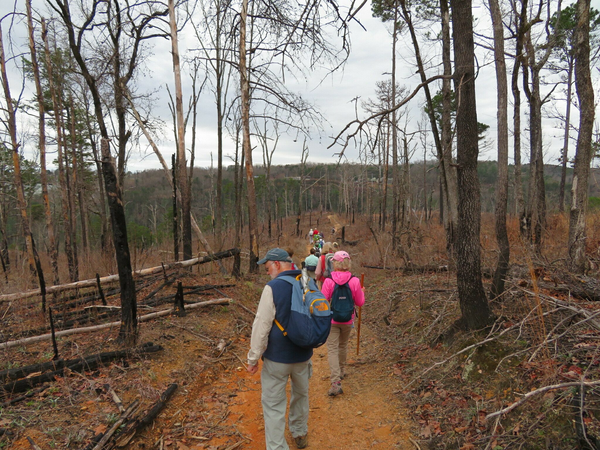 Headed down the High Bluff Trail with extensive burnt landscape.