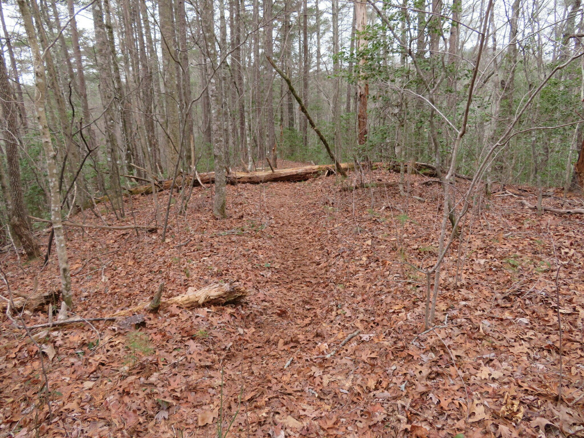 The approach paths to the features were easy with old logging roads or rolling forest trails.  Few obstructions.