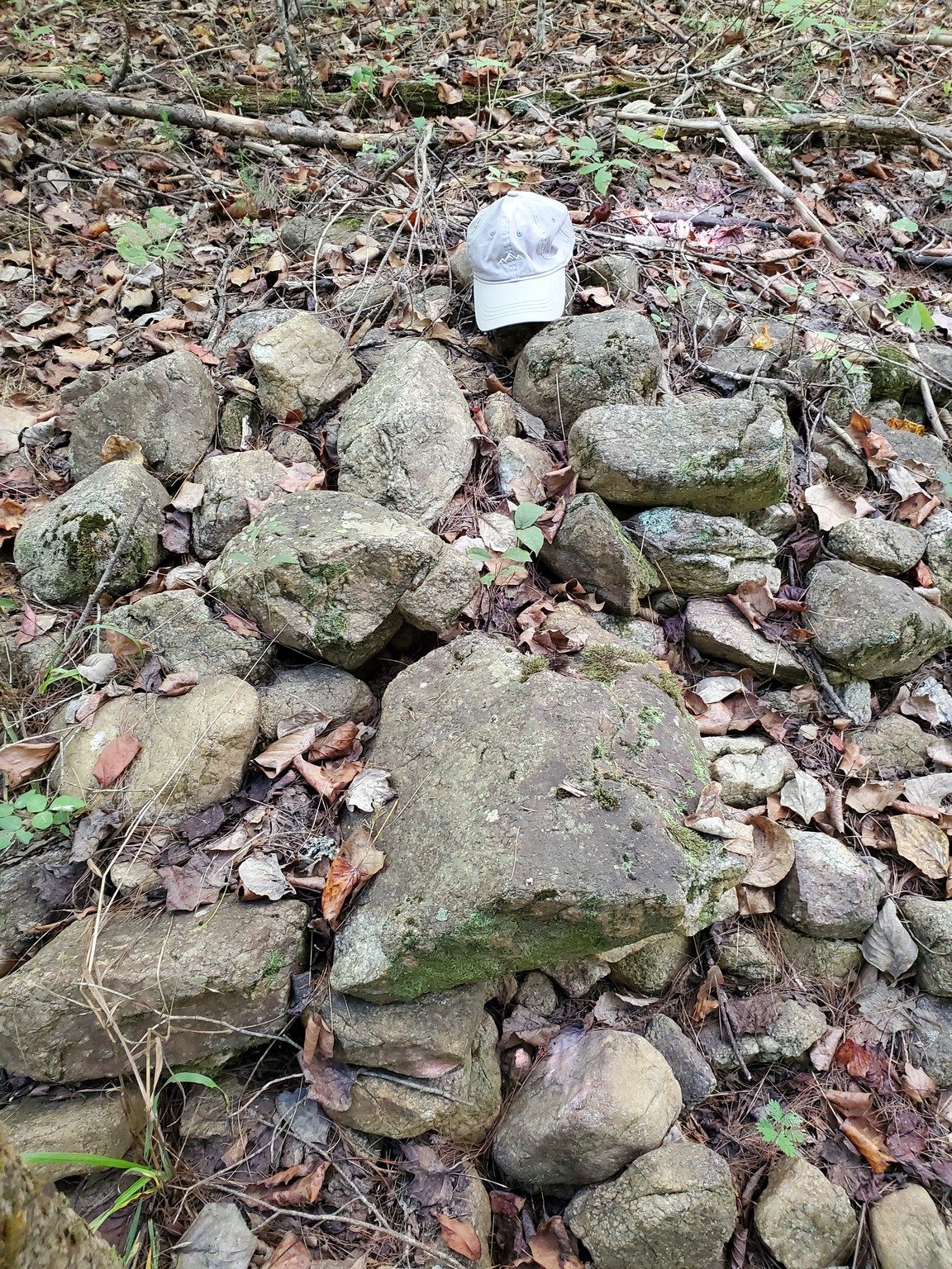 A suspicious cluster of stones...perhaps a slow hiker's final resting place?