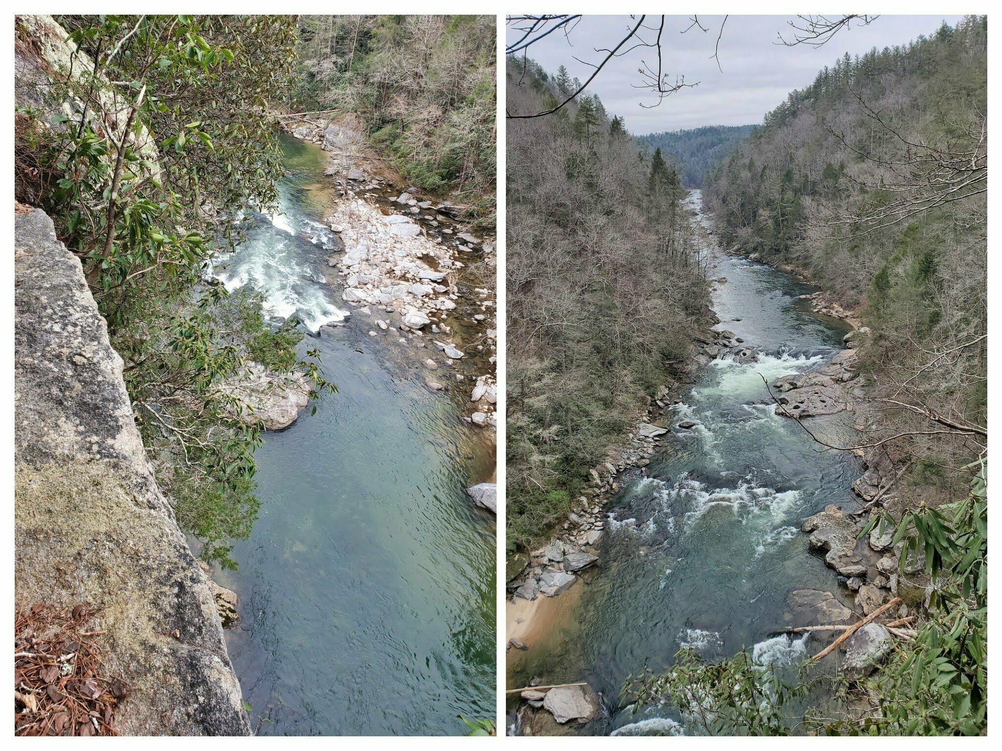 Views up and down the Chattooga River from Raven's Cliff.