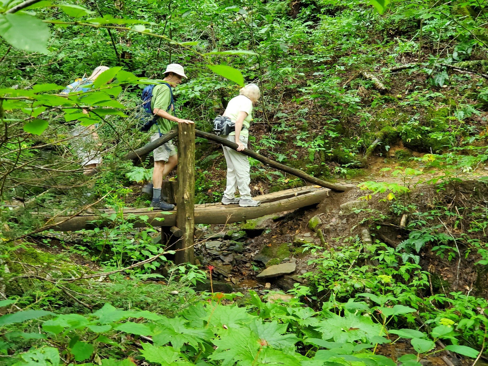 A small bridge across a drainage swale.