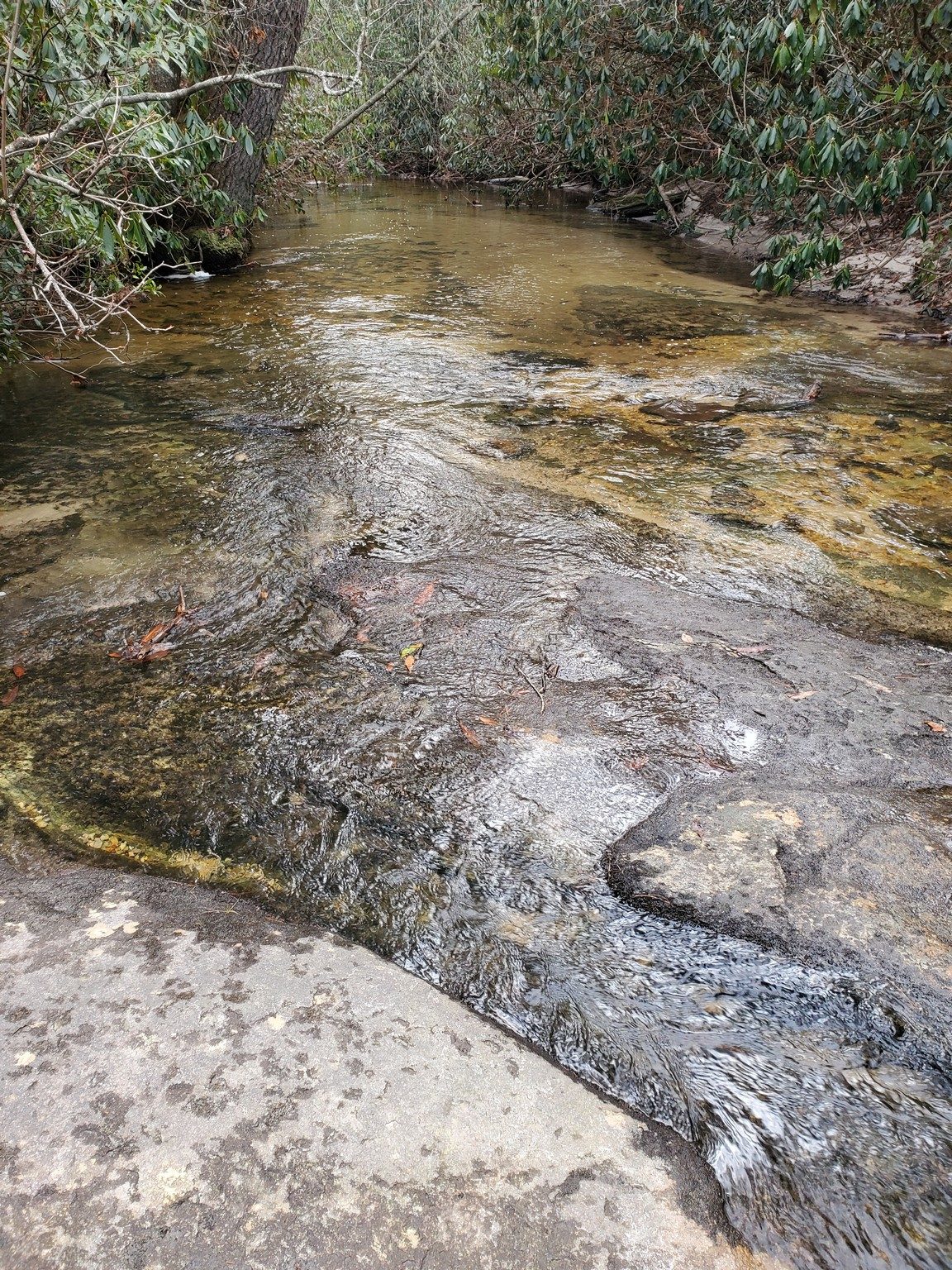 Lots of really clear water along along our path.