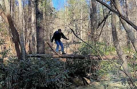 As Tony wrote in his 1/15/2008 hike report, "Another way to cross the creek.  Not recommended by the American Council on Safe Practices, but Gerald made it across! No one else tried it..."