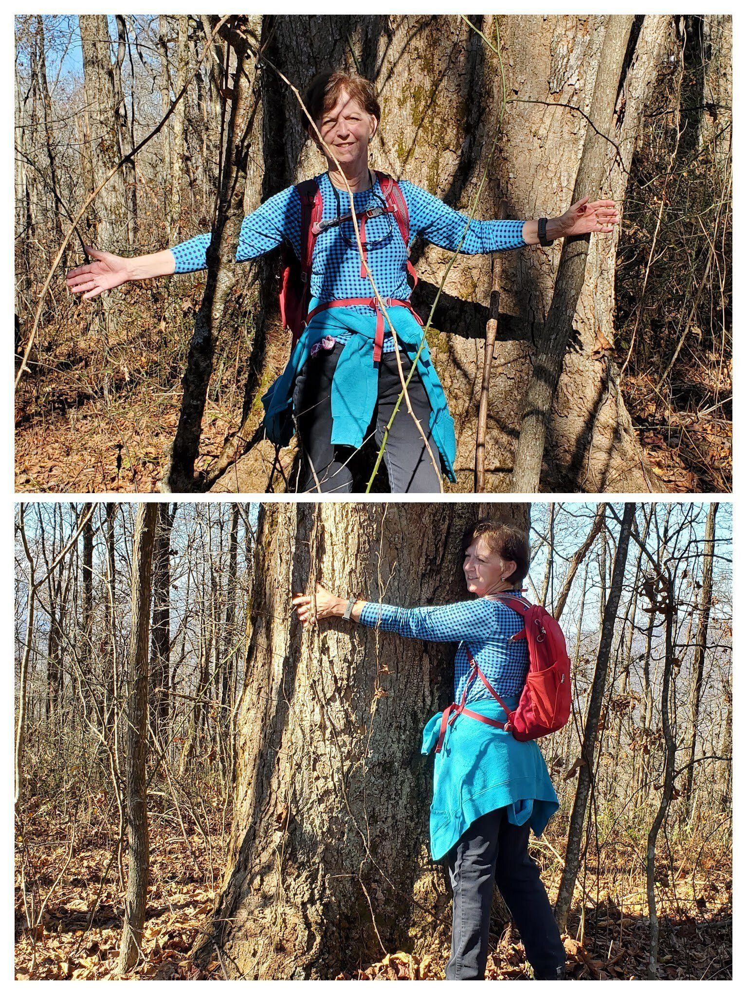 This tree is really big.  Let me show you!