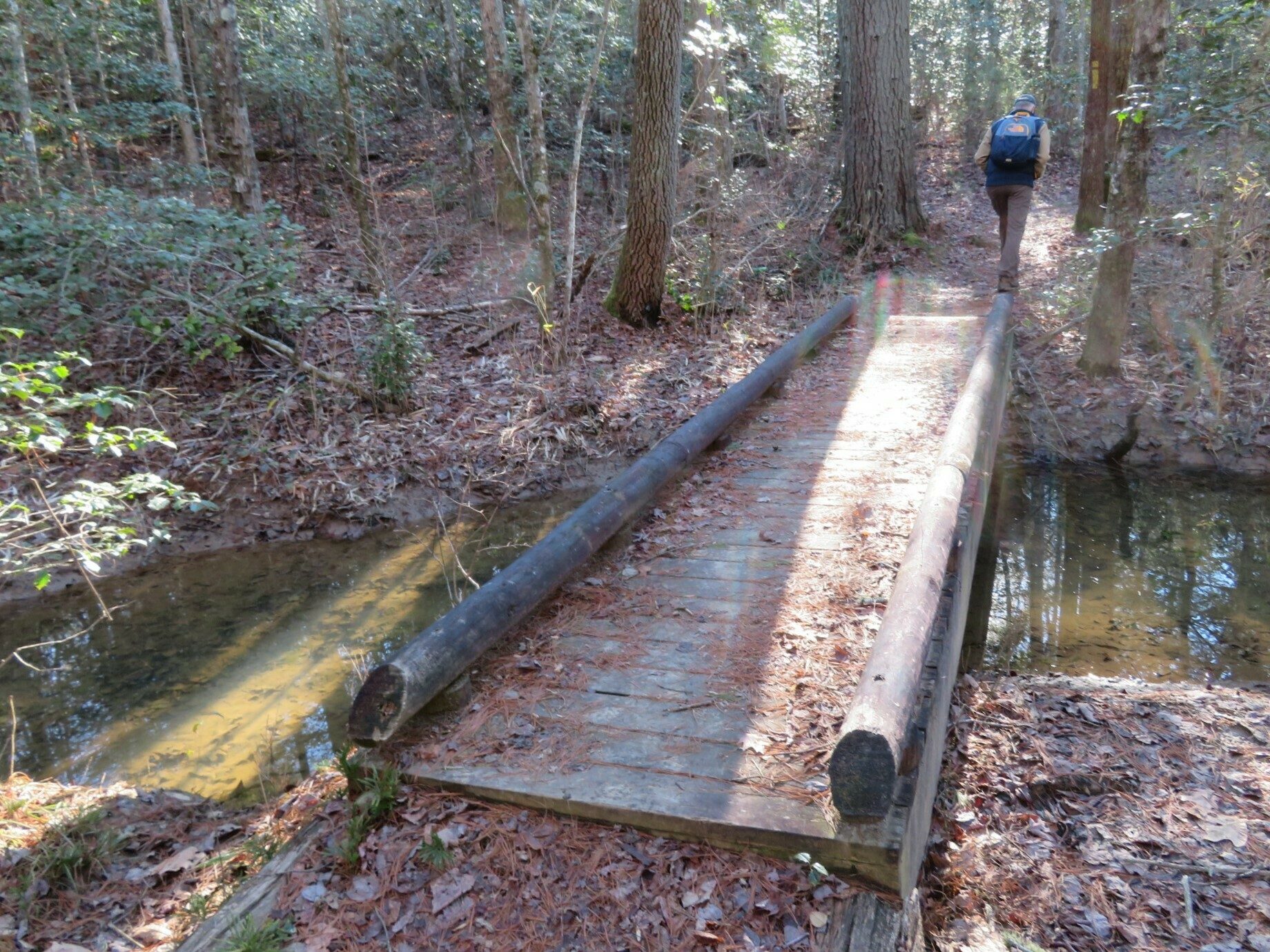The only water crossing along the trail.  Surprisingly there were a few minnows in this water.