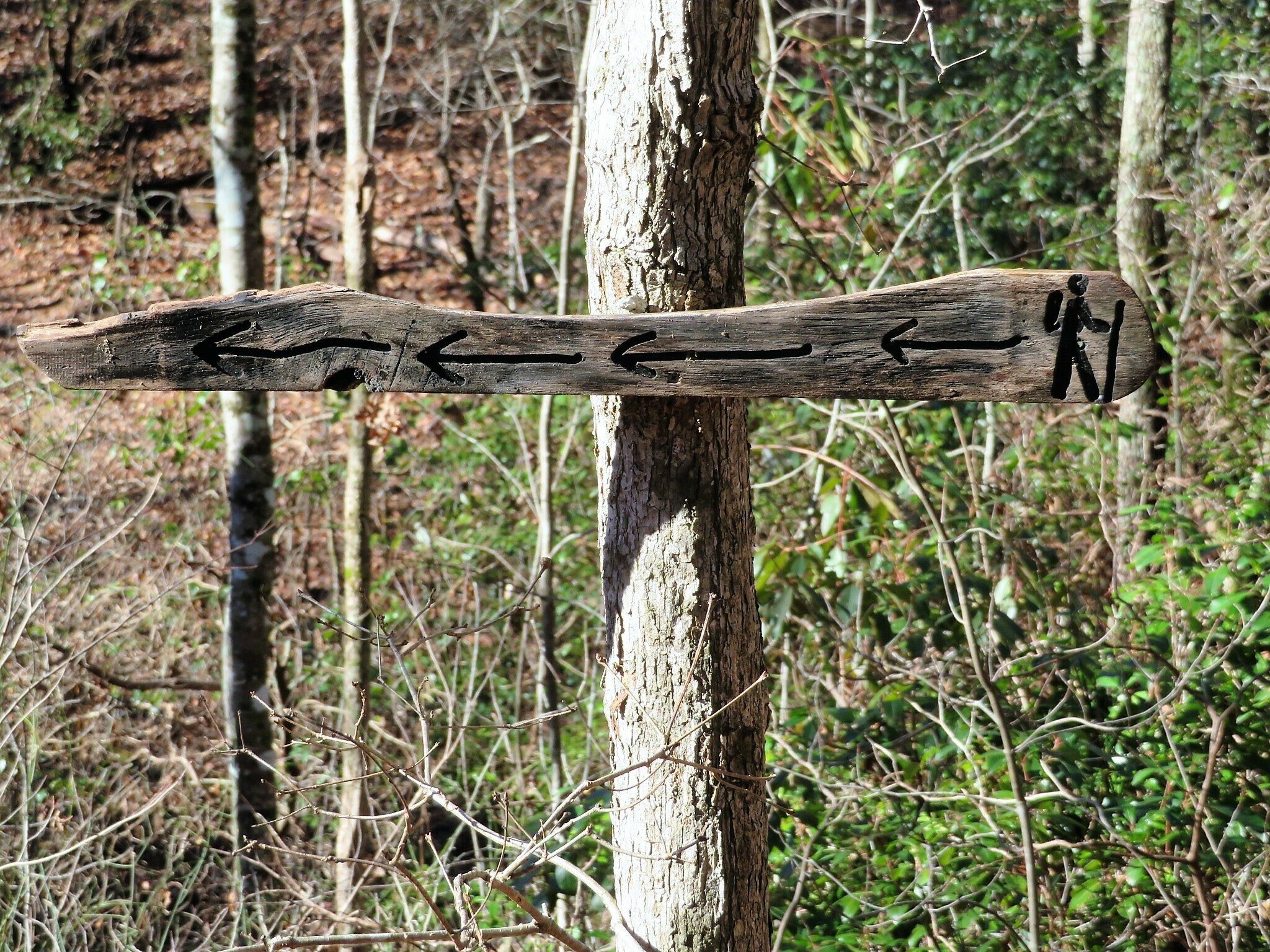 The trail sign to turn off for Chenocetah Tower.