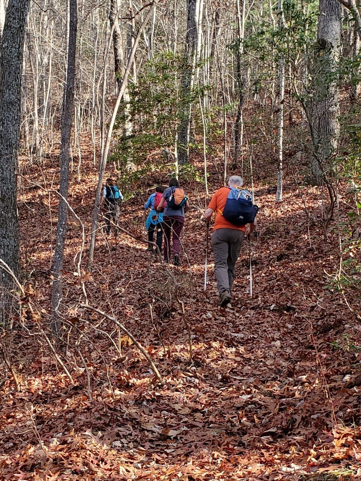 Well maintained trail, but covered with leaves as expected.