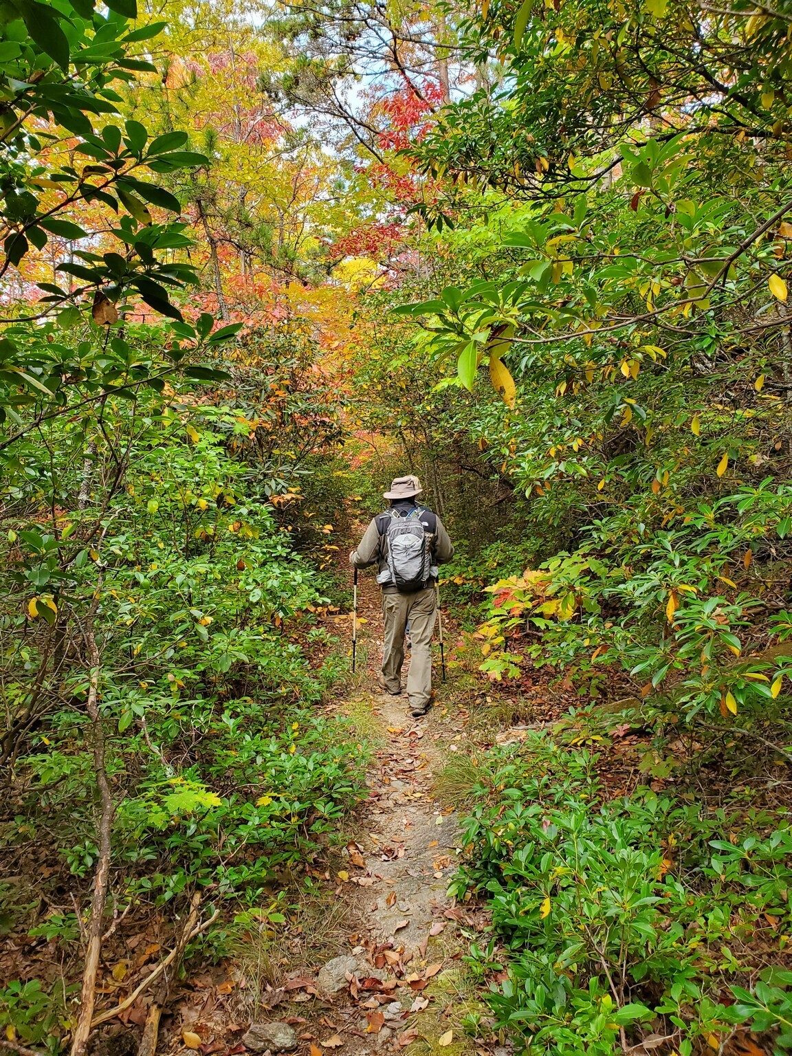John Cape headed down a narrower part of the colorful trail.
