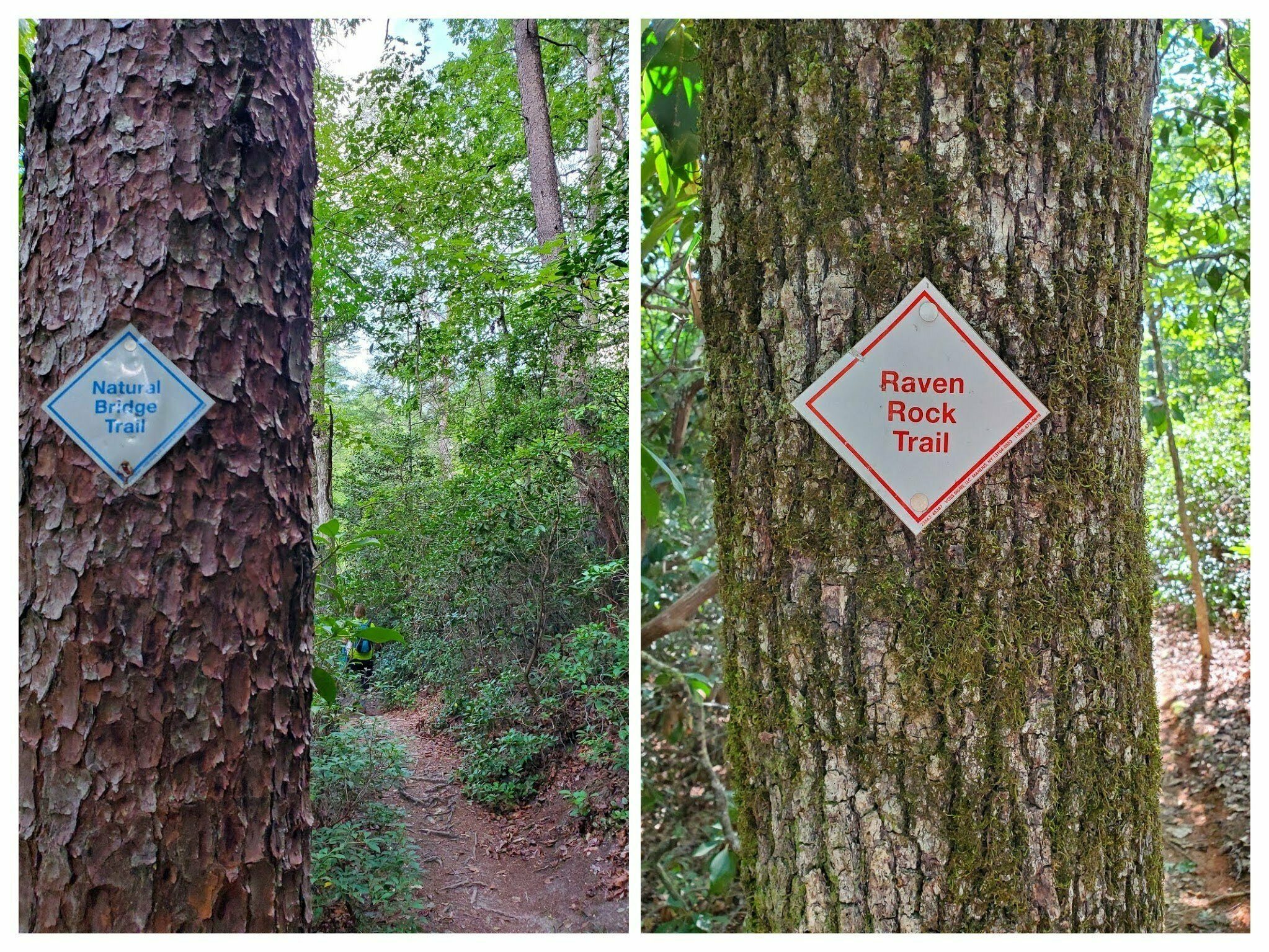 Nice trail marking for each section.