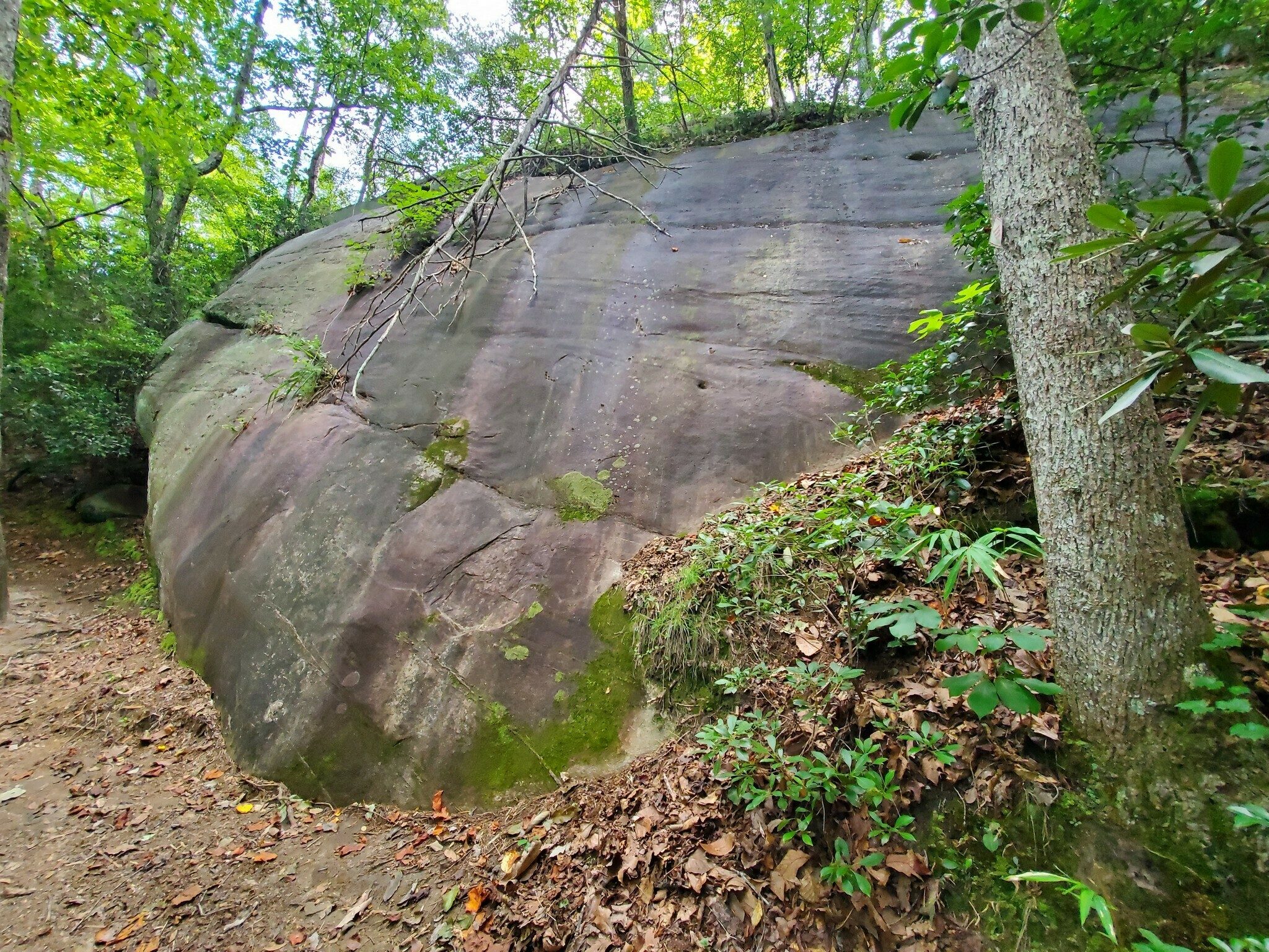 We hiked through a section with a large number of massive boulders and rock outcroppings.