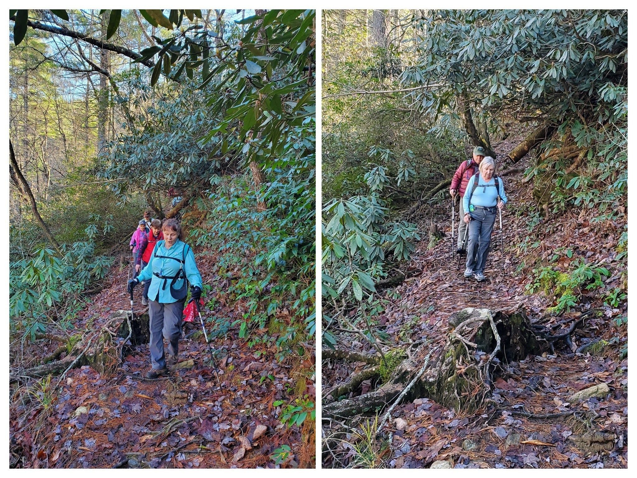Watch your step!  Still not the worst trail conditions we encountered.