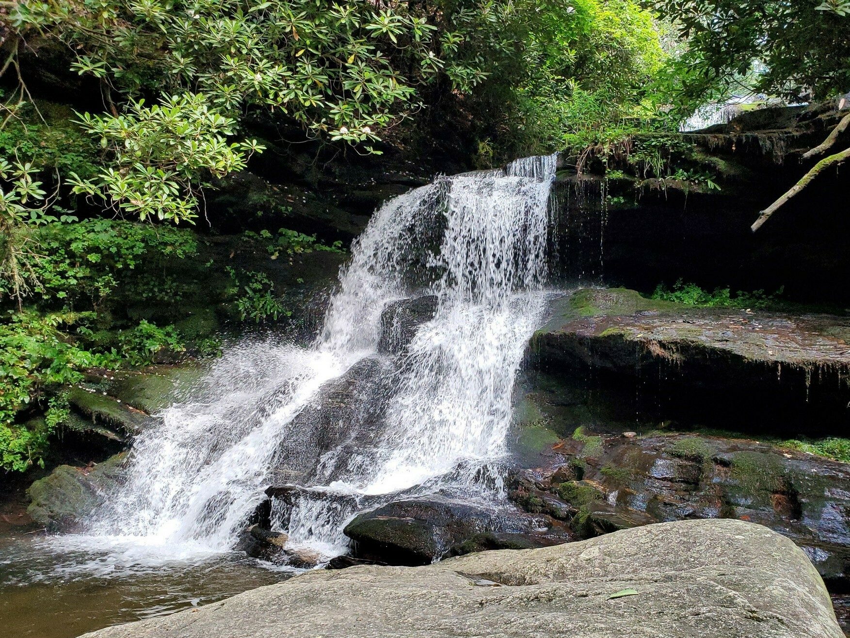 Another view of Martin Creek Falls.