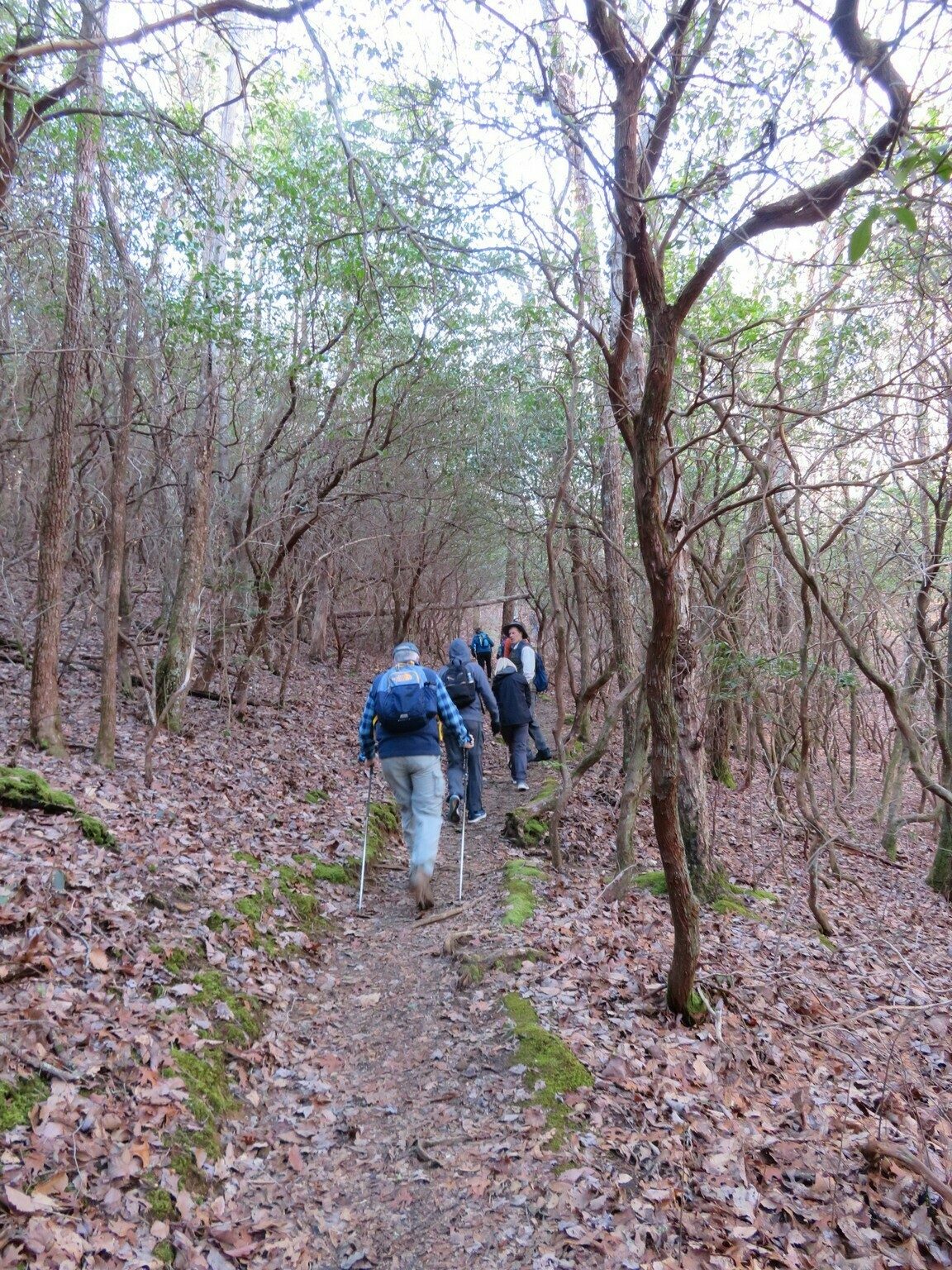 Although a long incline, the trail was in very good condition.