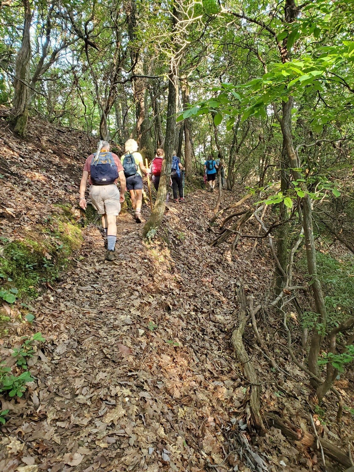 The first section of the Bartram Trail up to the base of Rainy Mountain was pretty nice.