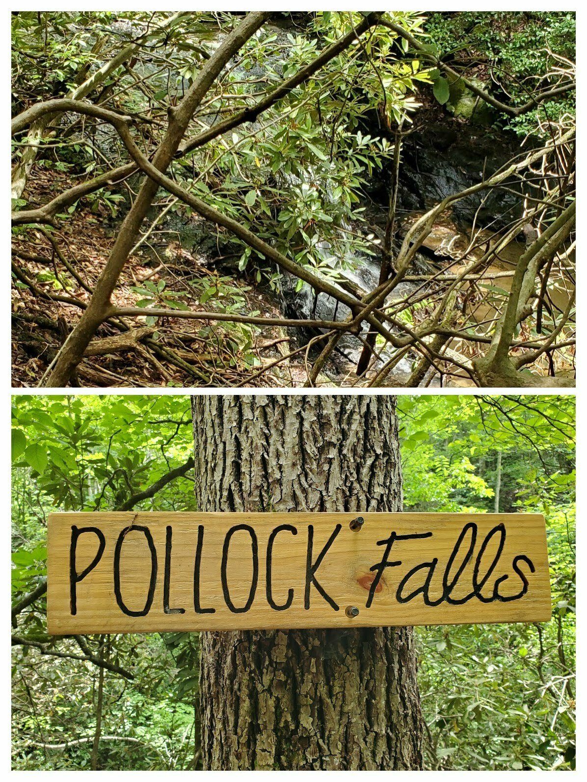 Pollack Falls, a small falls not well viewed from the trail, but also not easy to get a better view this time of the year.