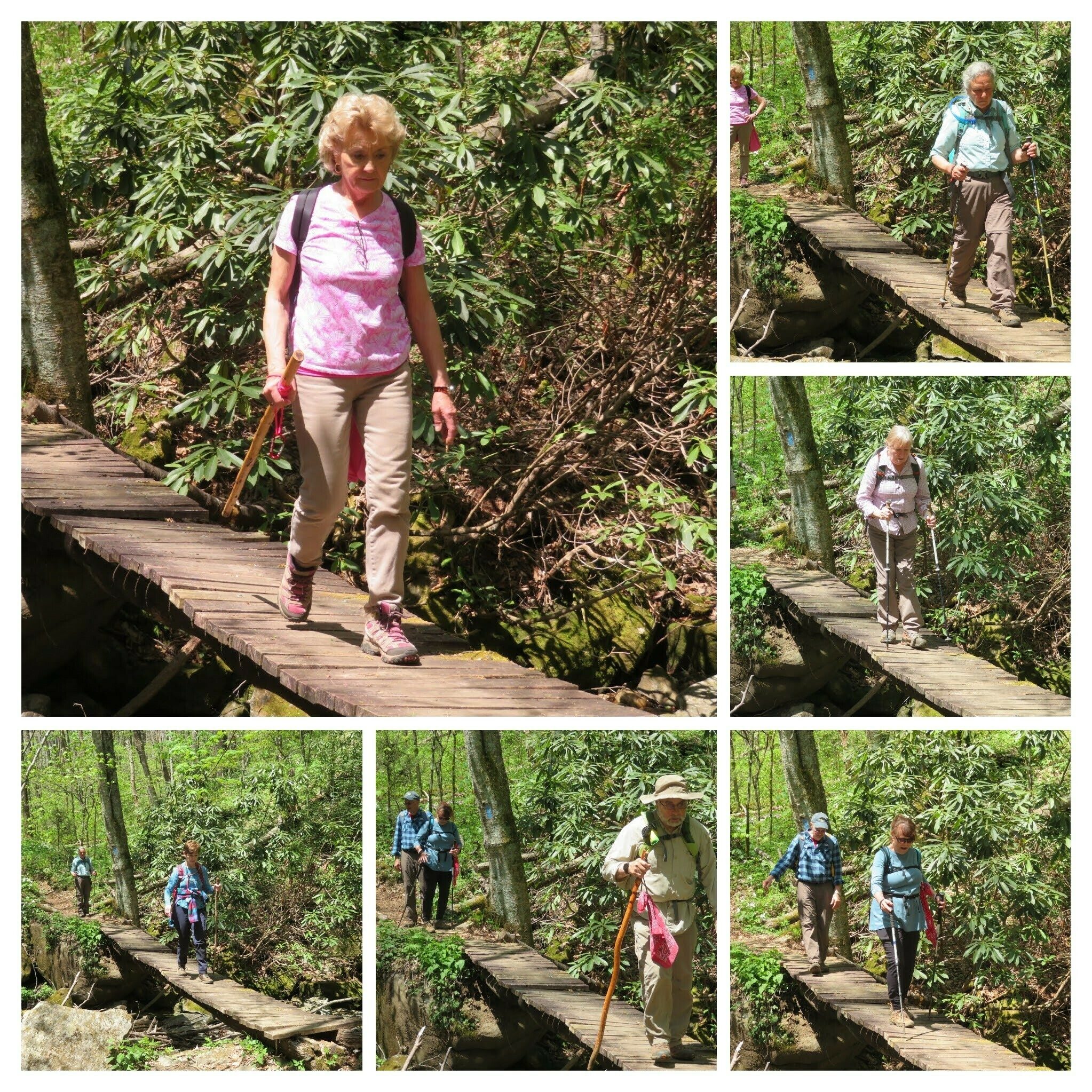 There is one wonky bridge without a handrail at 2.5 miles that requires a bit more care in crossing.