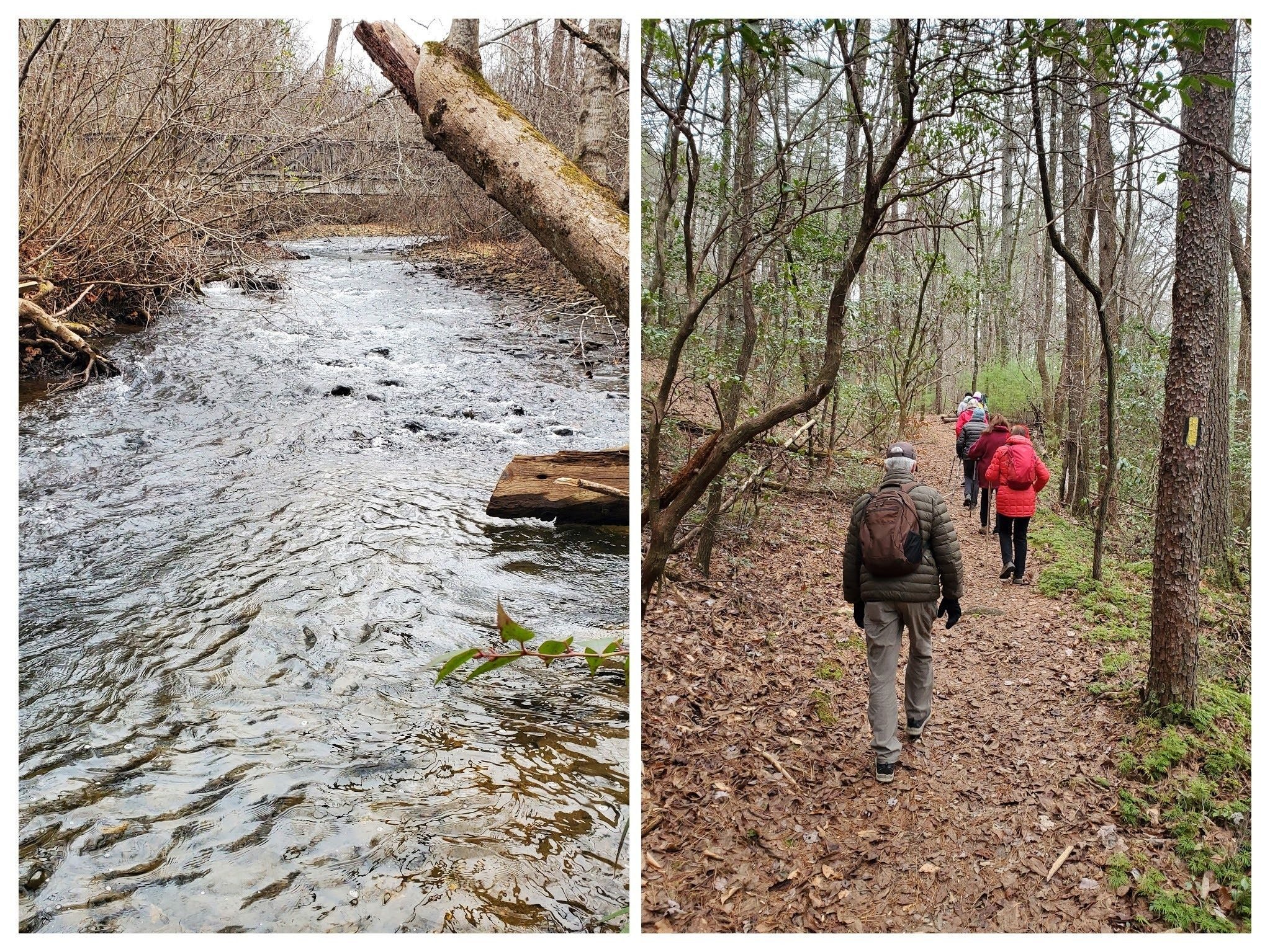 Another look at Smith Creek on our way back.  These hikers  do have a better side, but they are all in the witness protection program.