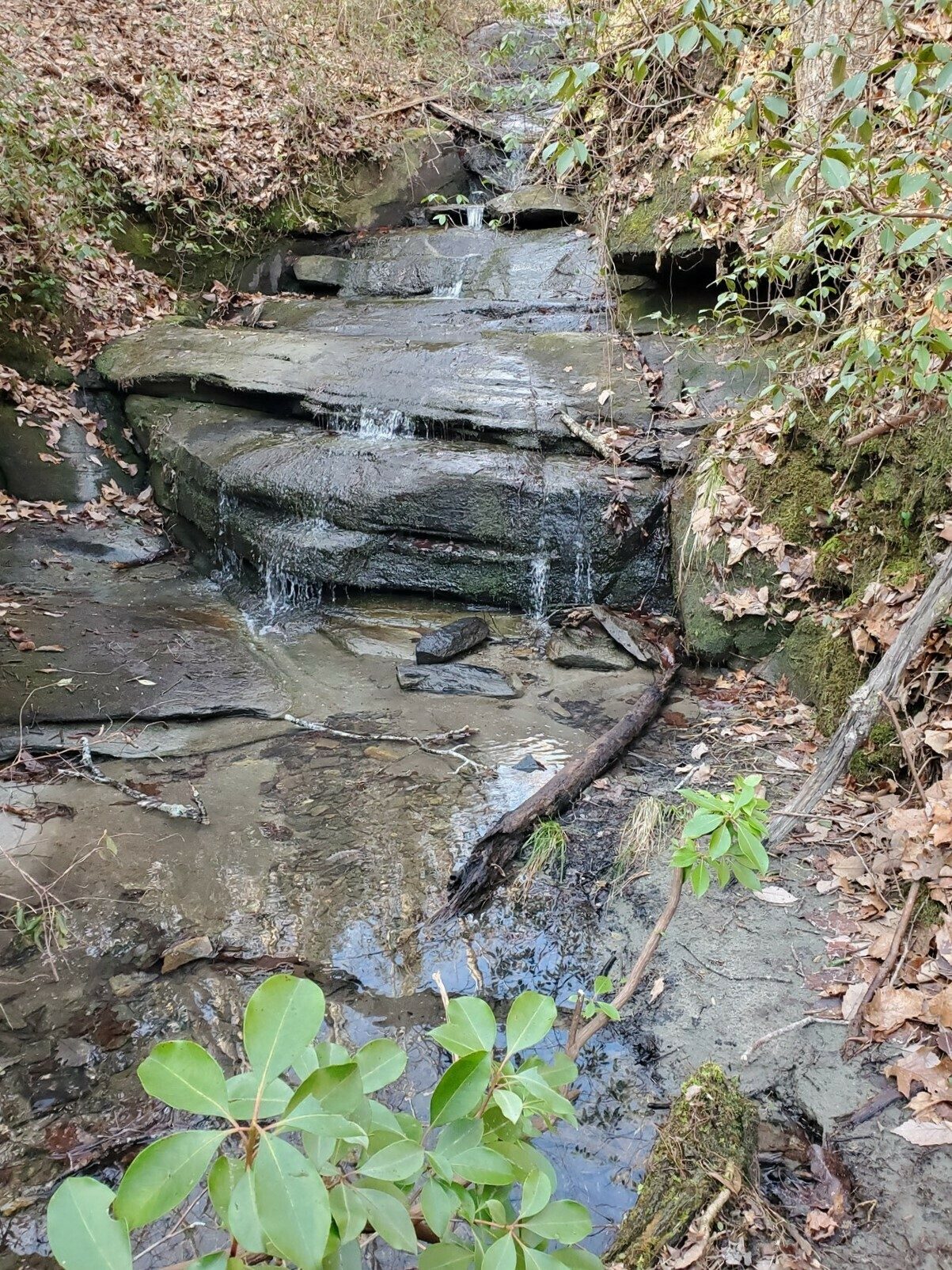 Roughshot Falls, the second of the three falls that was found.  Not a lot of water flowing today.
