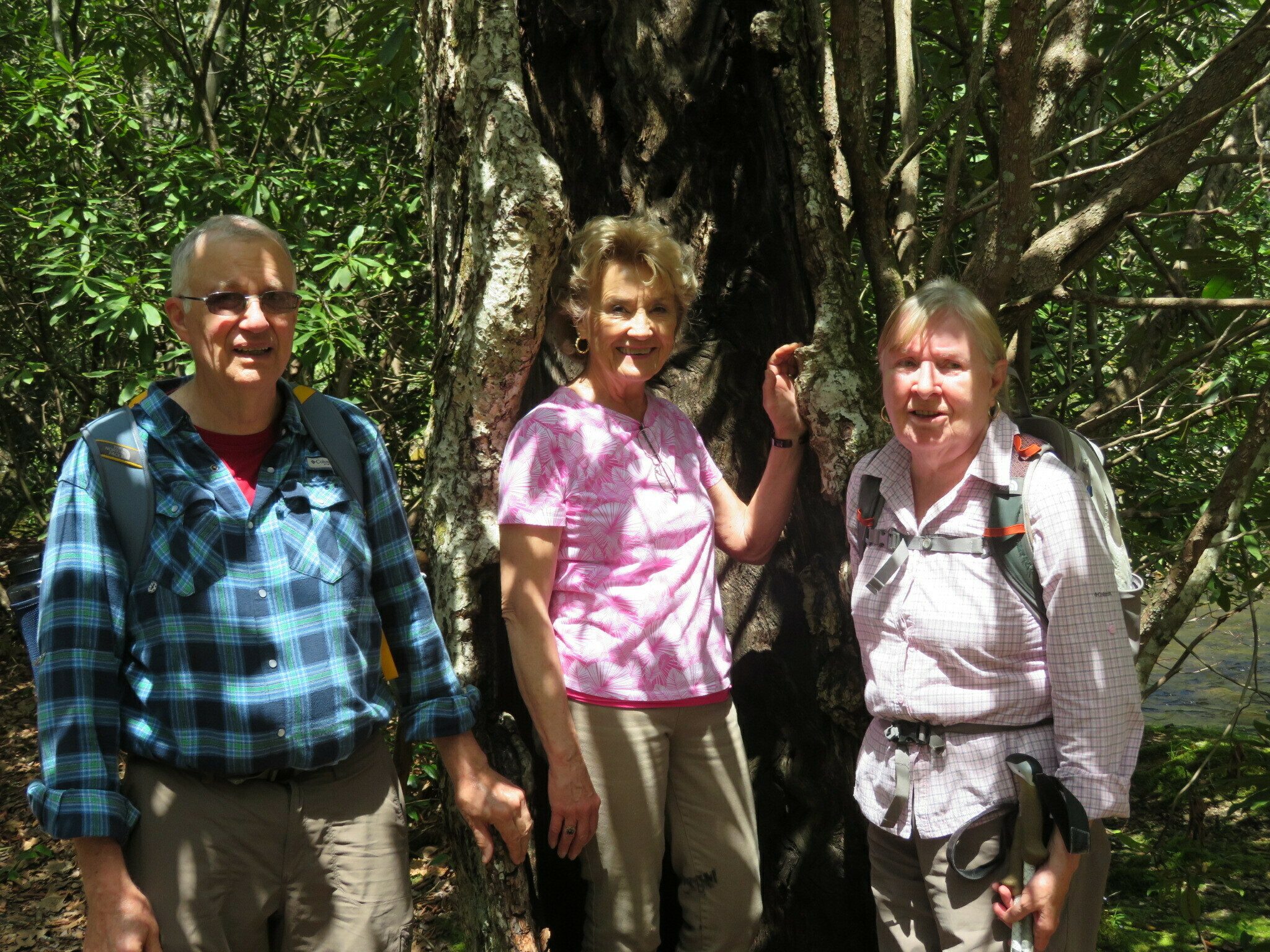 Ray, Beth & Angela in front of a large hollow, but dead tree at the end of the Kimsey Creek Trail.