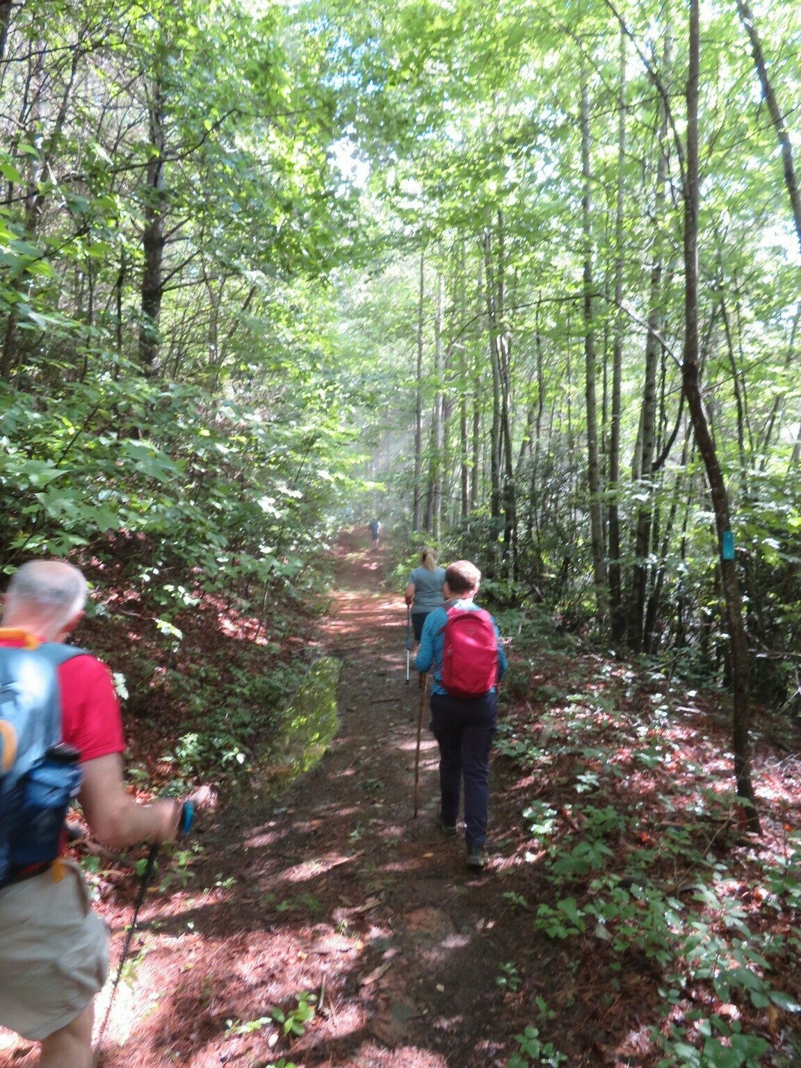 Later turning into a nice trail.