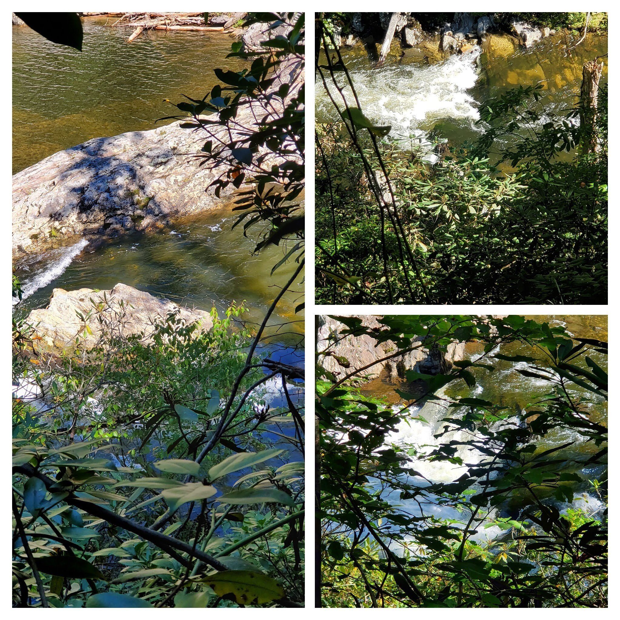 More views of the Chattooga River.