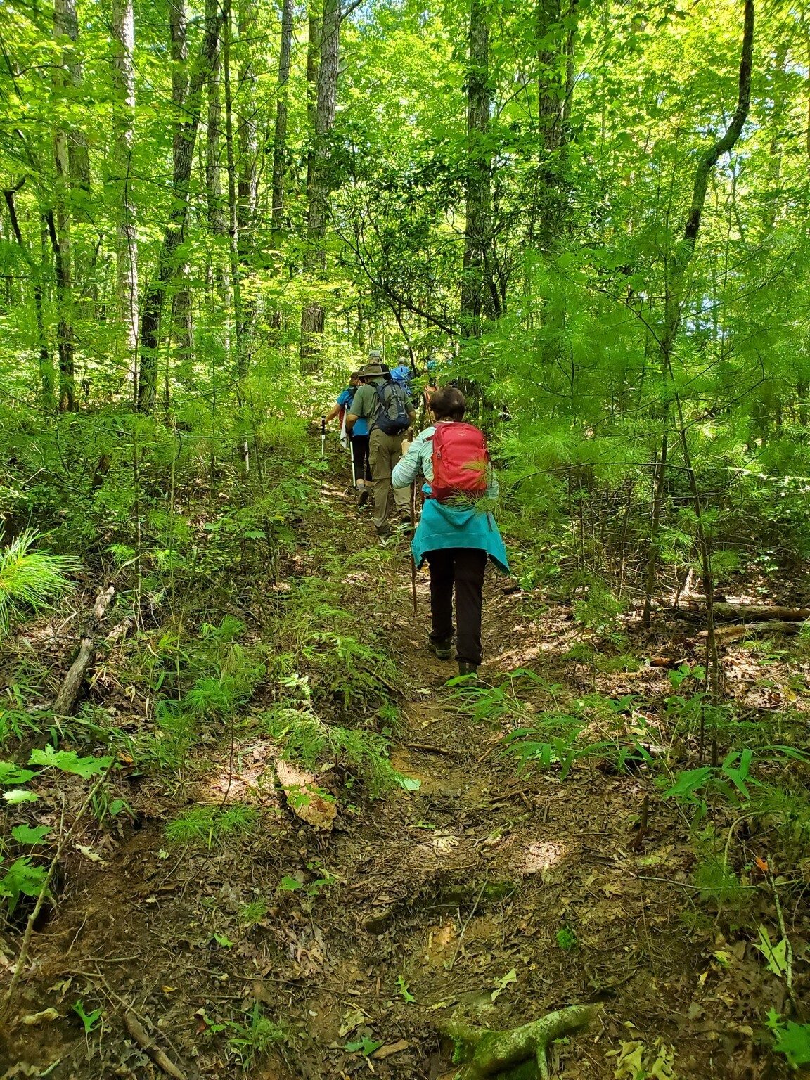 A steep climb out from the Chattooga via the Crack in the Rock Trail.