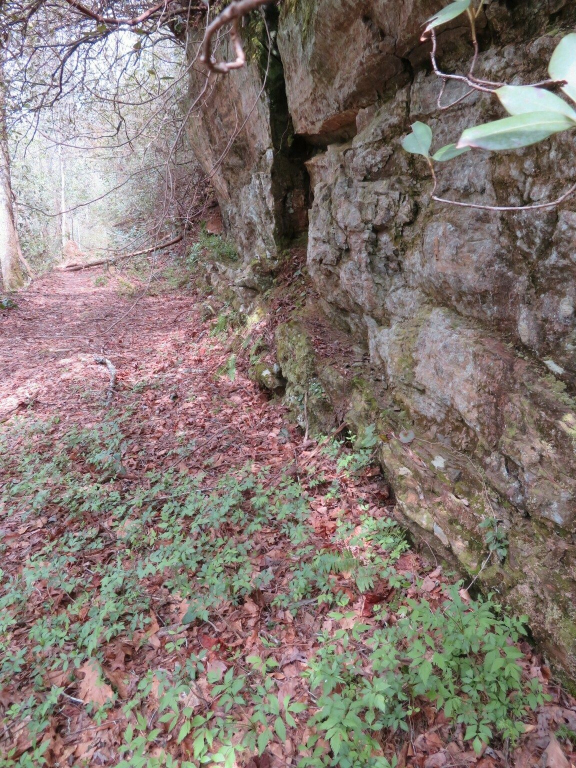 Attractive rock wall along the old roadbed of the trail.  We speculated on how they removed that rock during construction. . . Dynamite perhaps.