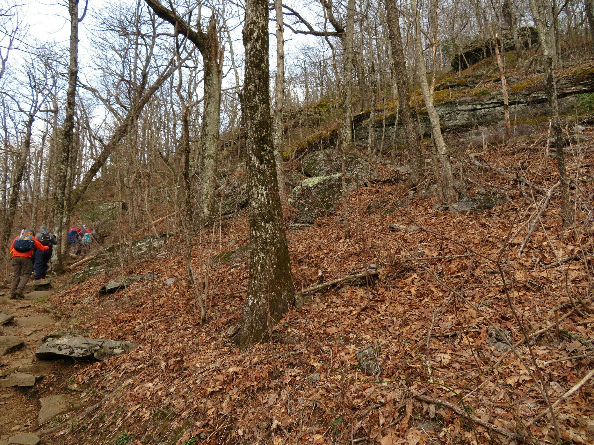 Seriously Mike, can't you pick an easier trail . . . rock, roots and steep inclines!