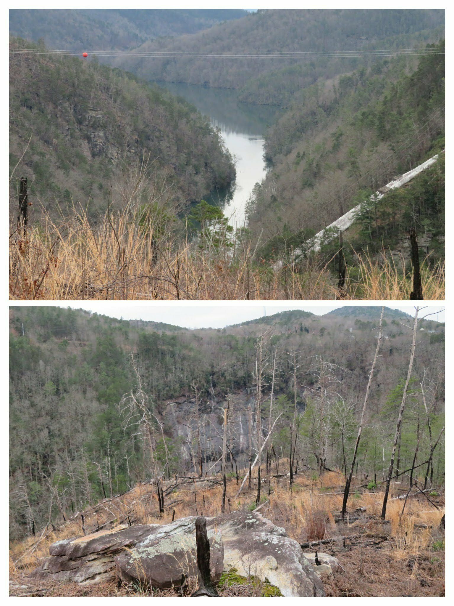 Views of the gorge from the point along the High Bluff Trails
