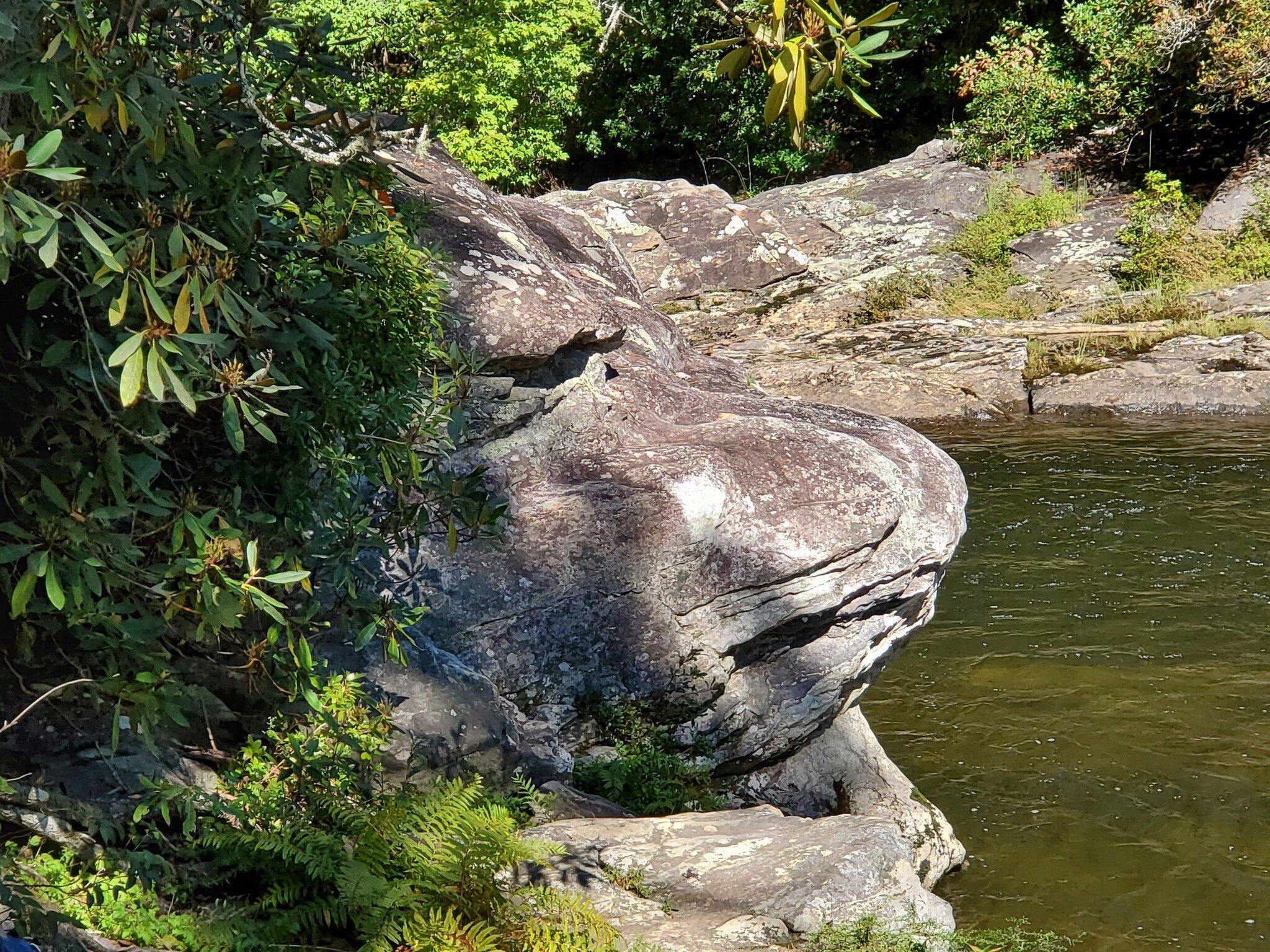 Looks like a grumpy old man guarding the Chattooga River.