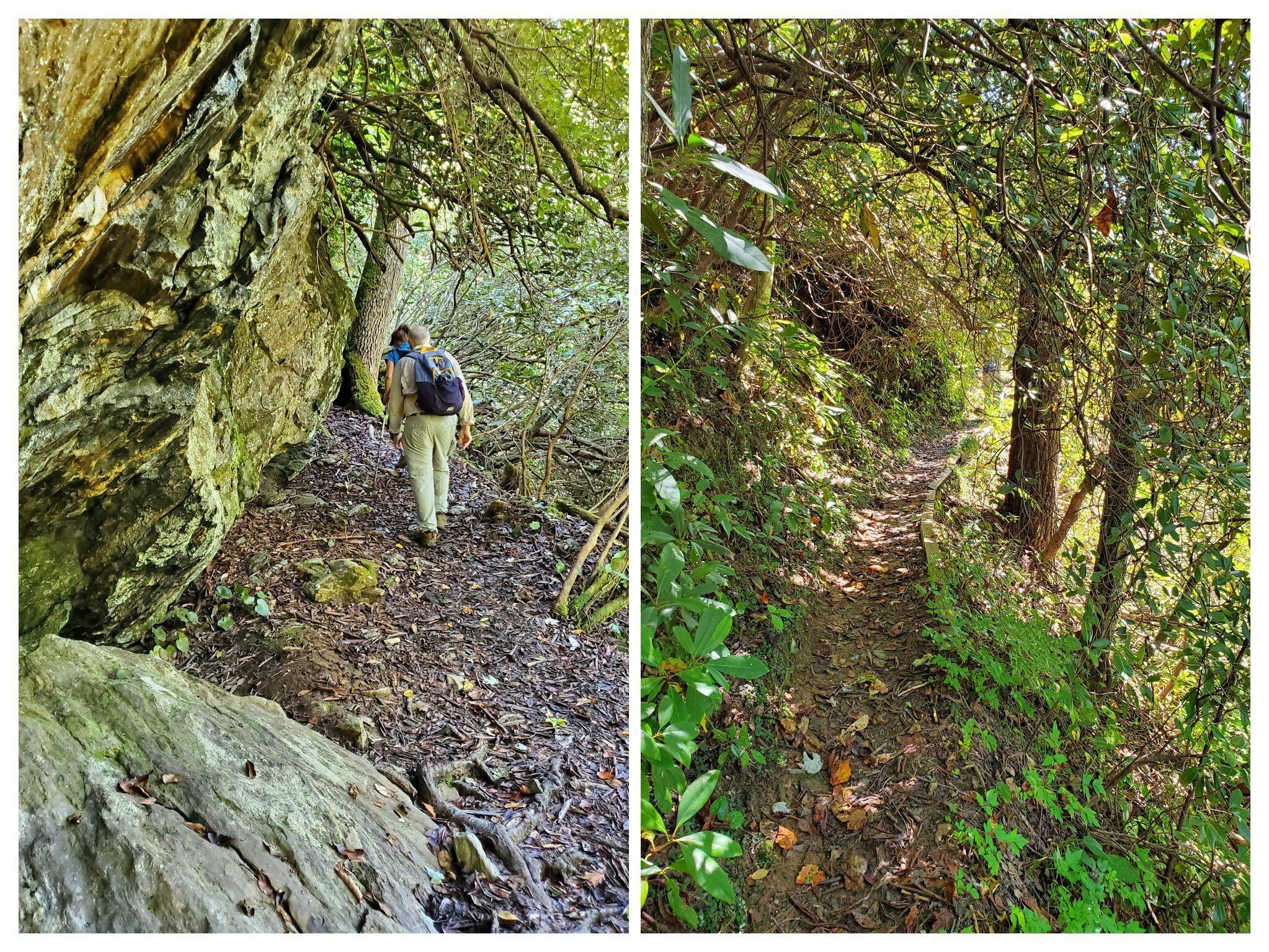Some of the walk along the Chattooga River was on fairly narrow ledges.