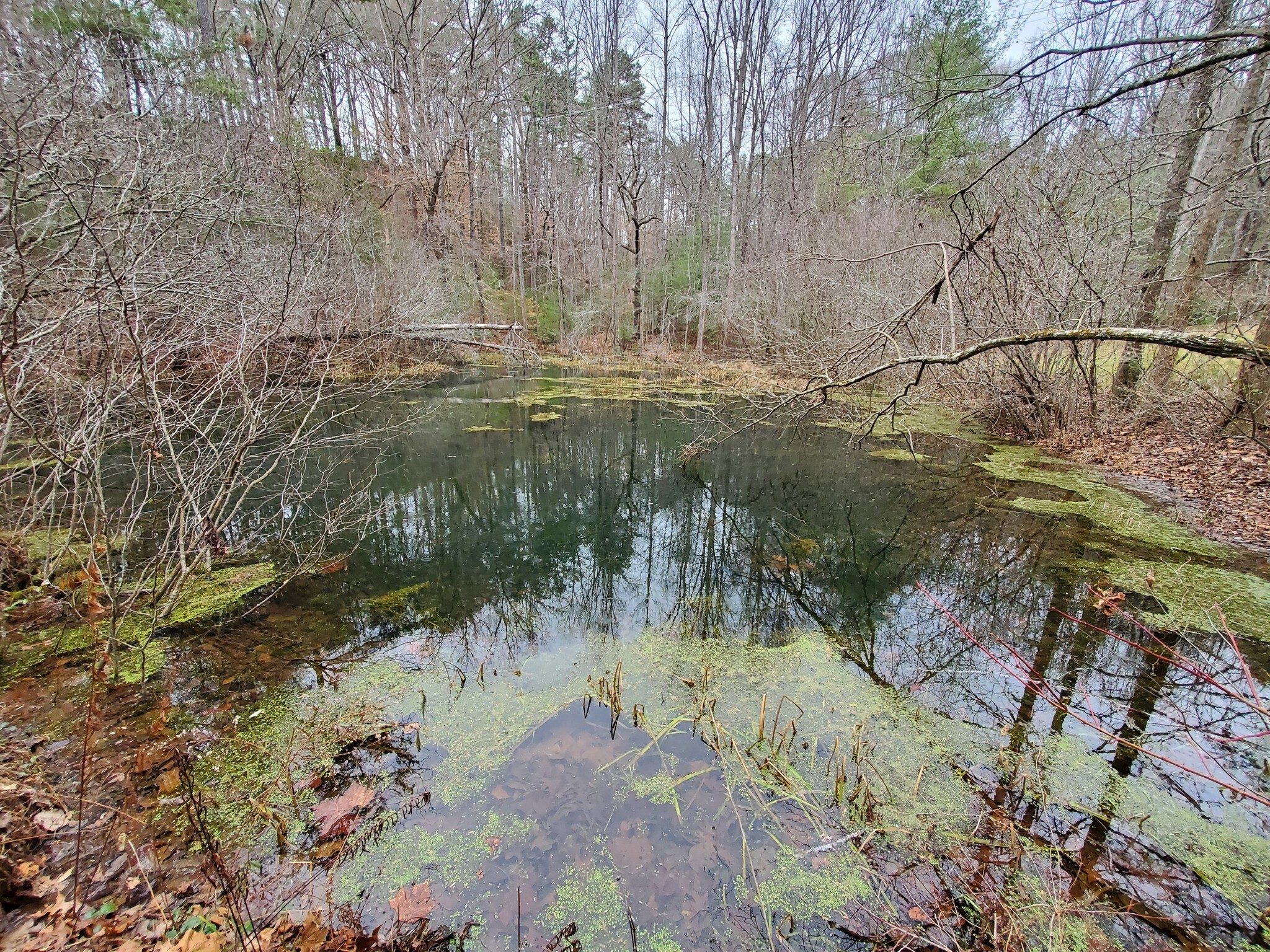 Same old Frog Pond, but it helps vary the scenery on our way back.