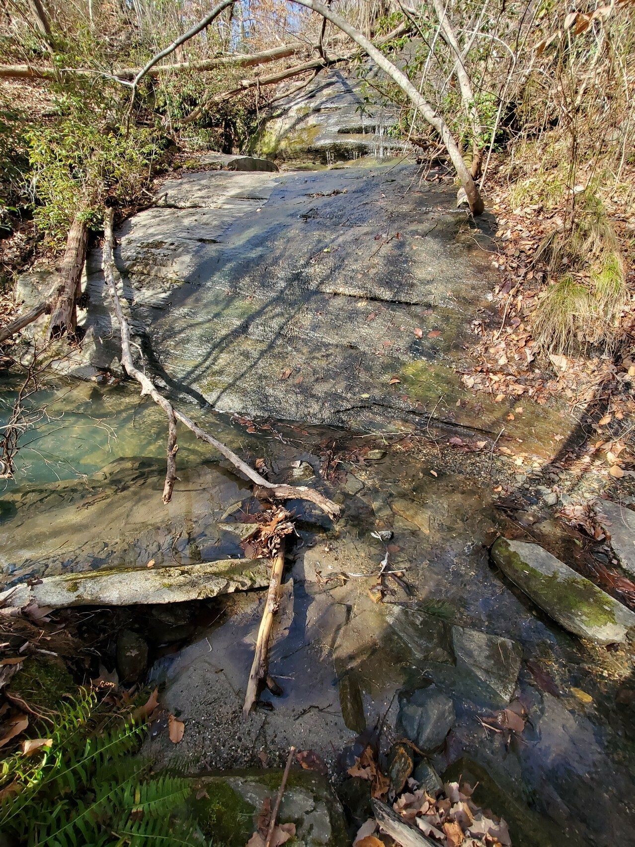 Little Beauty Falls, the third falls and most difficult to get to with extensive brambles and steep embankments.