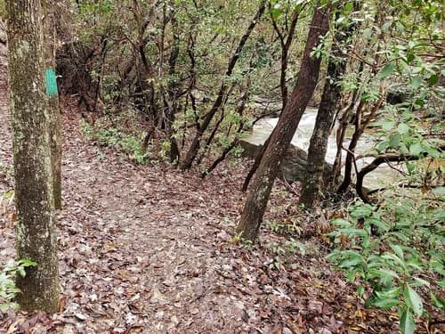 A nice trail along Victoria's Path on the way back to the trailhead.