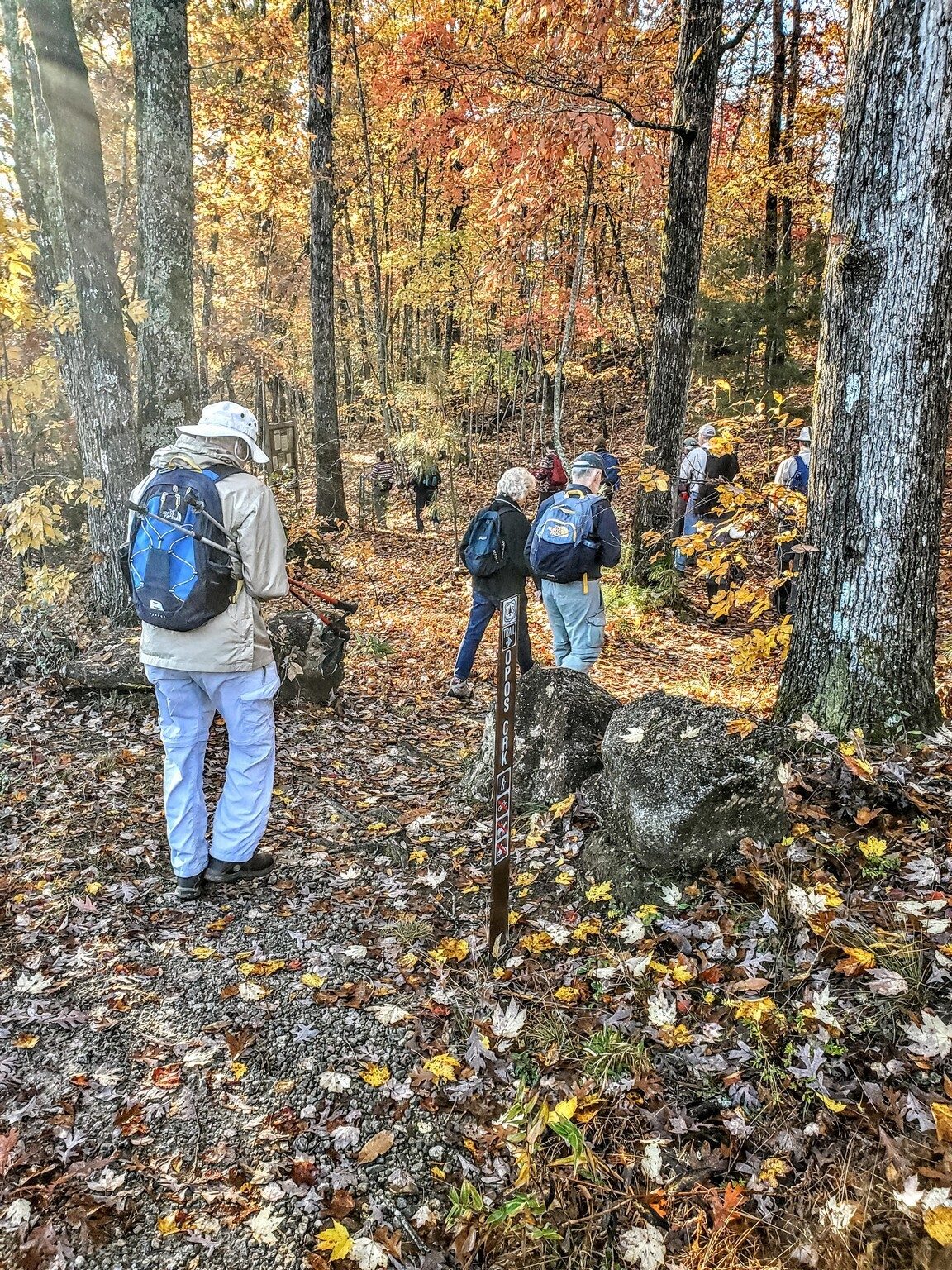 Headed down from the trailhead.