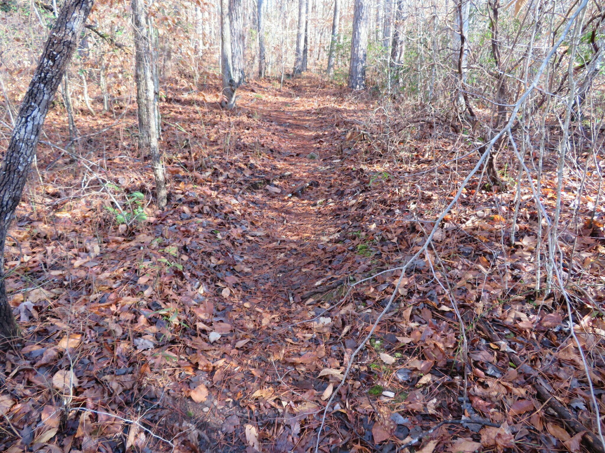 Typical trail conditions on the east side.