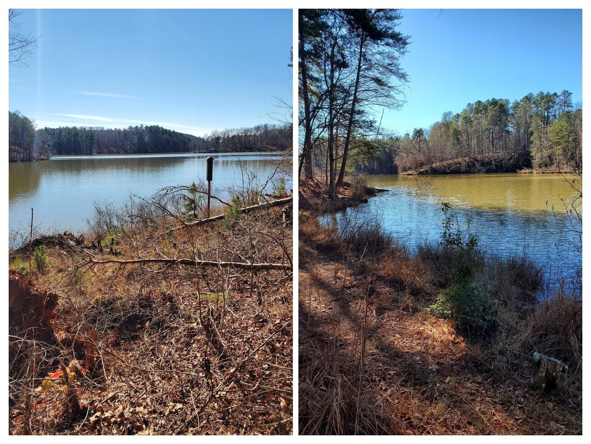 Views of Lake Russell along the lake trail on the way back.