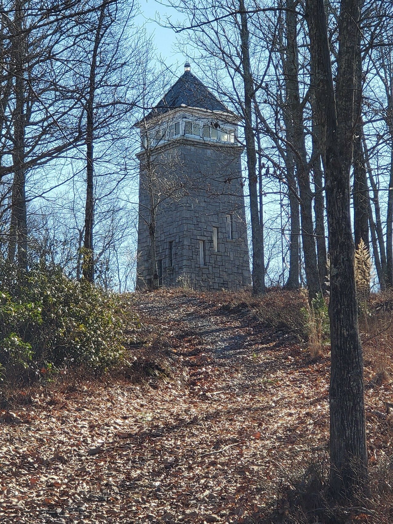 A view of the Chenocetah Fire Tower from the north.