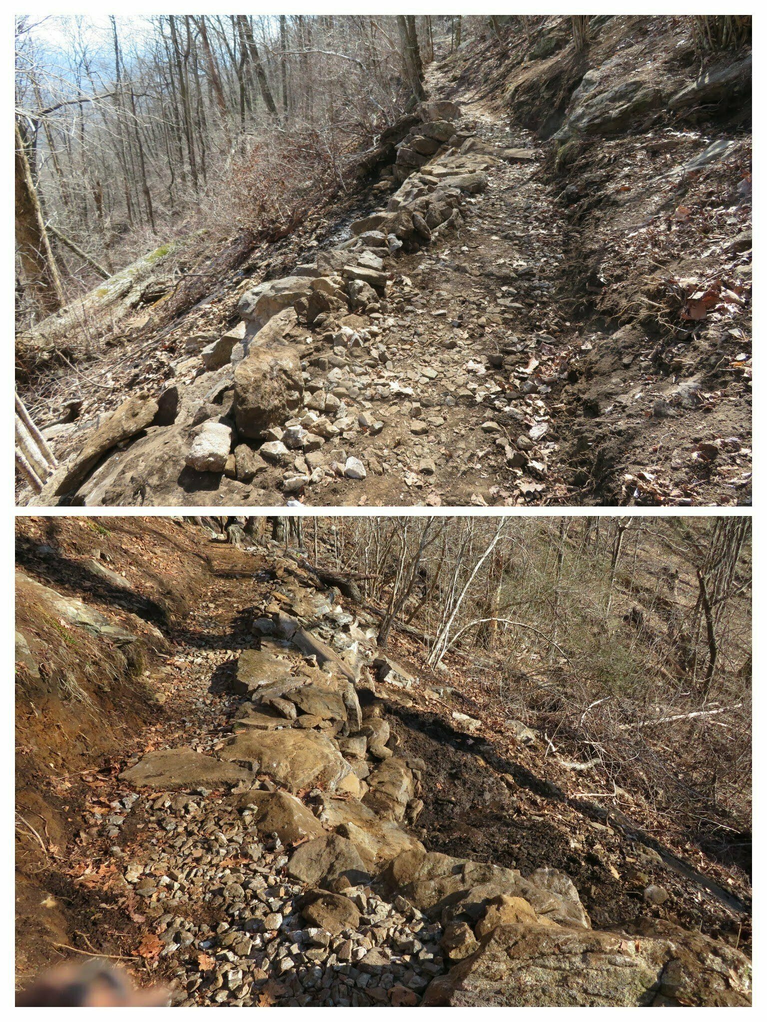 The GA Appalachian Trail Club did a great job of moving massive rocks and restoring this washed out section we encountered early into the hike.